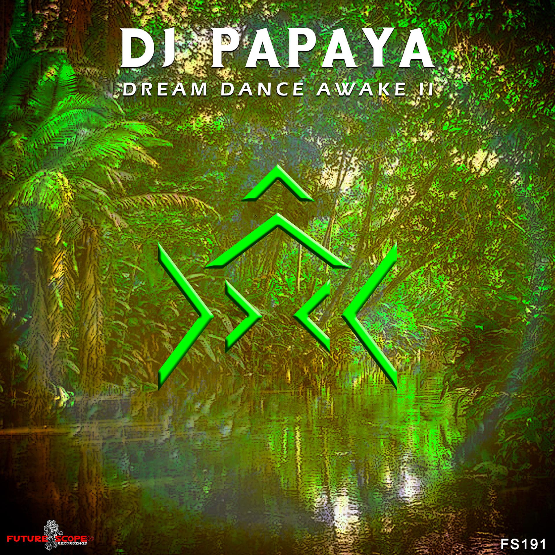 Постер альбома Dream Dance Awake II