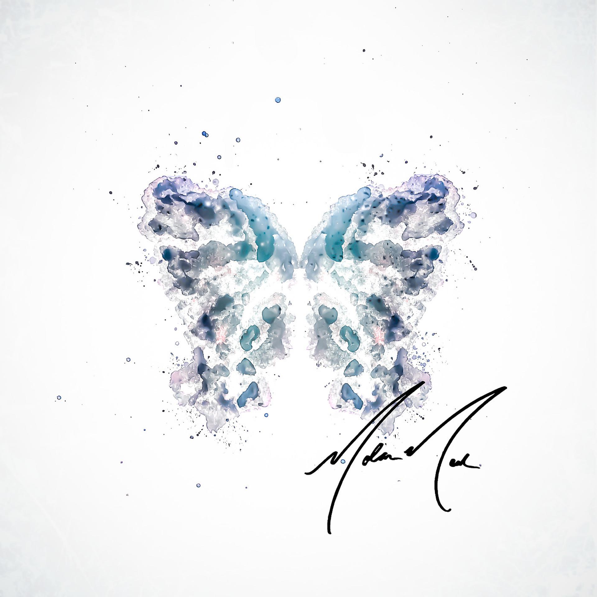Постер альбома Send Me a Butterfly (Live)
