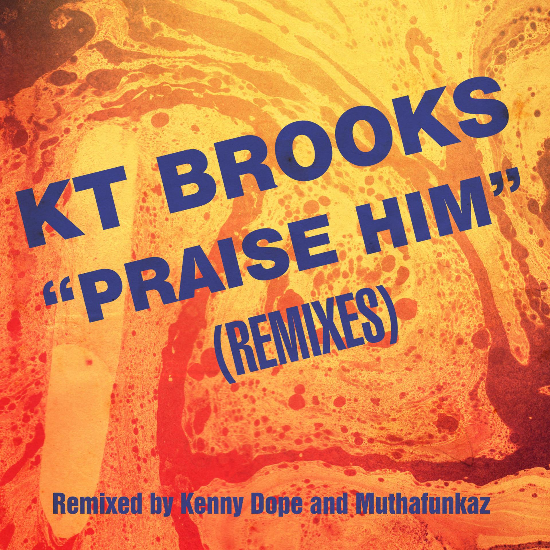 Постер альбома Praise Him (Remixes)