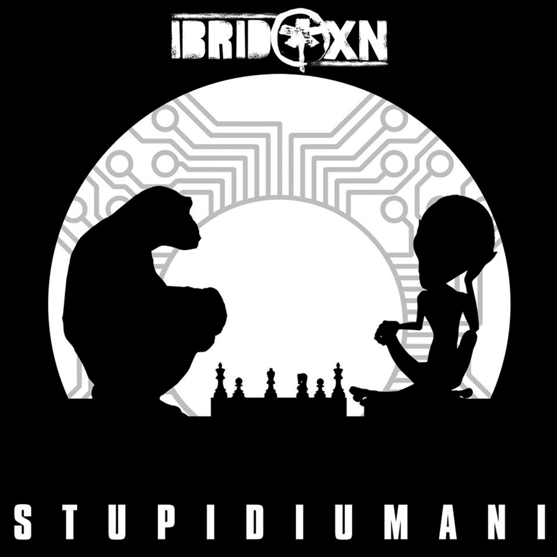Постер альбома Stupidiumani