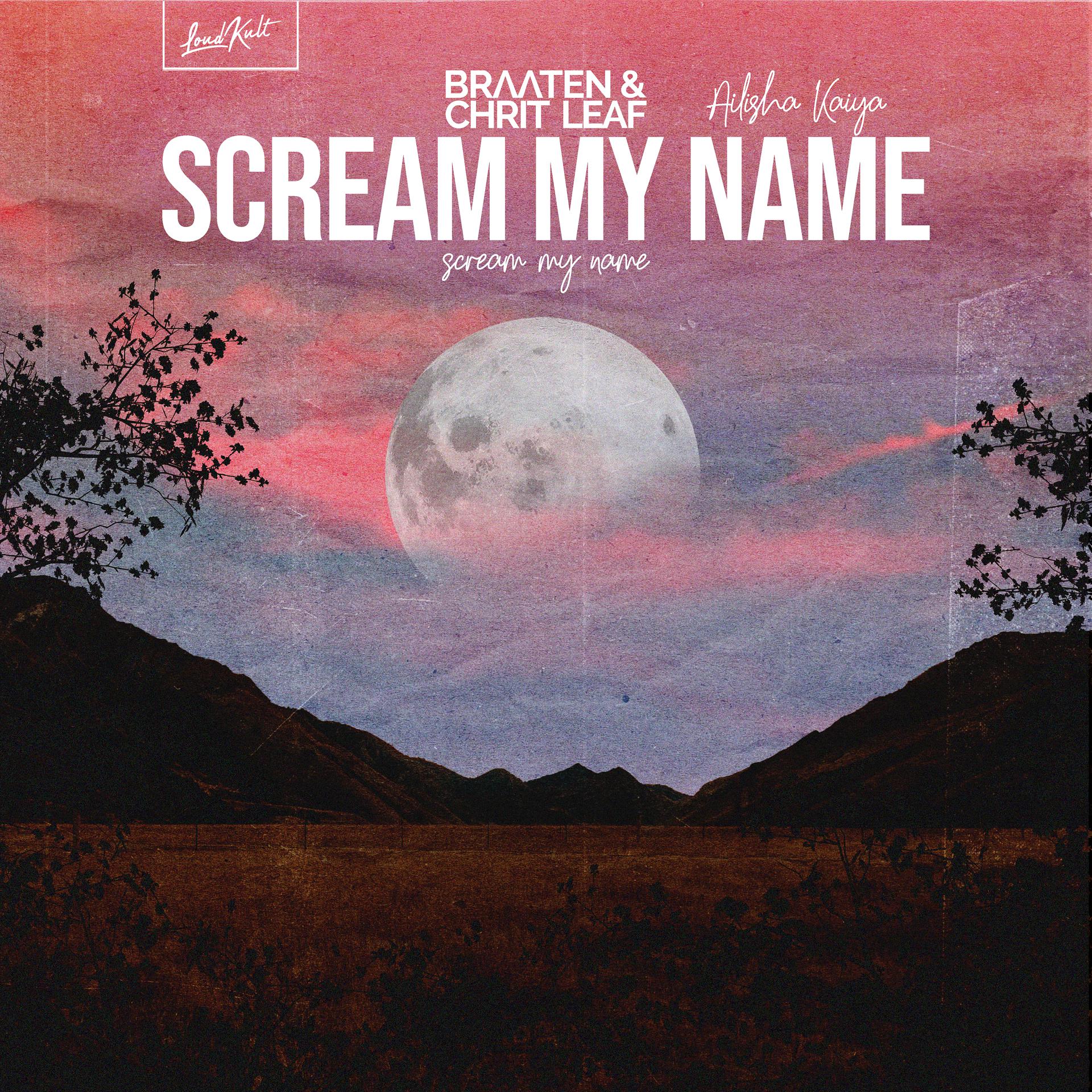 Постер альбома Scream My Name