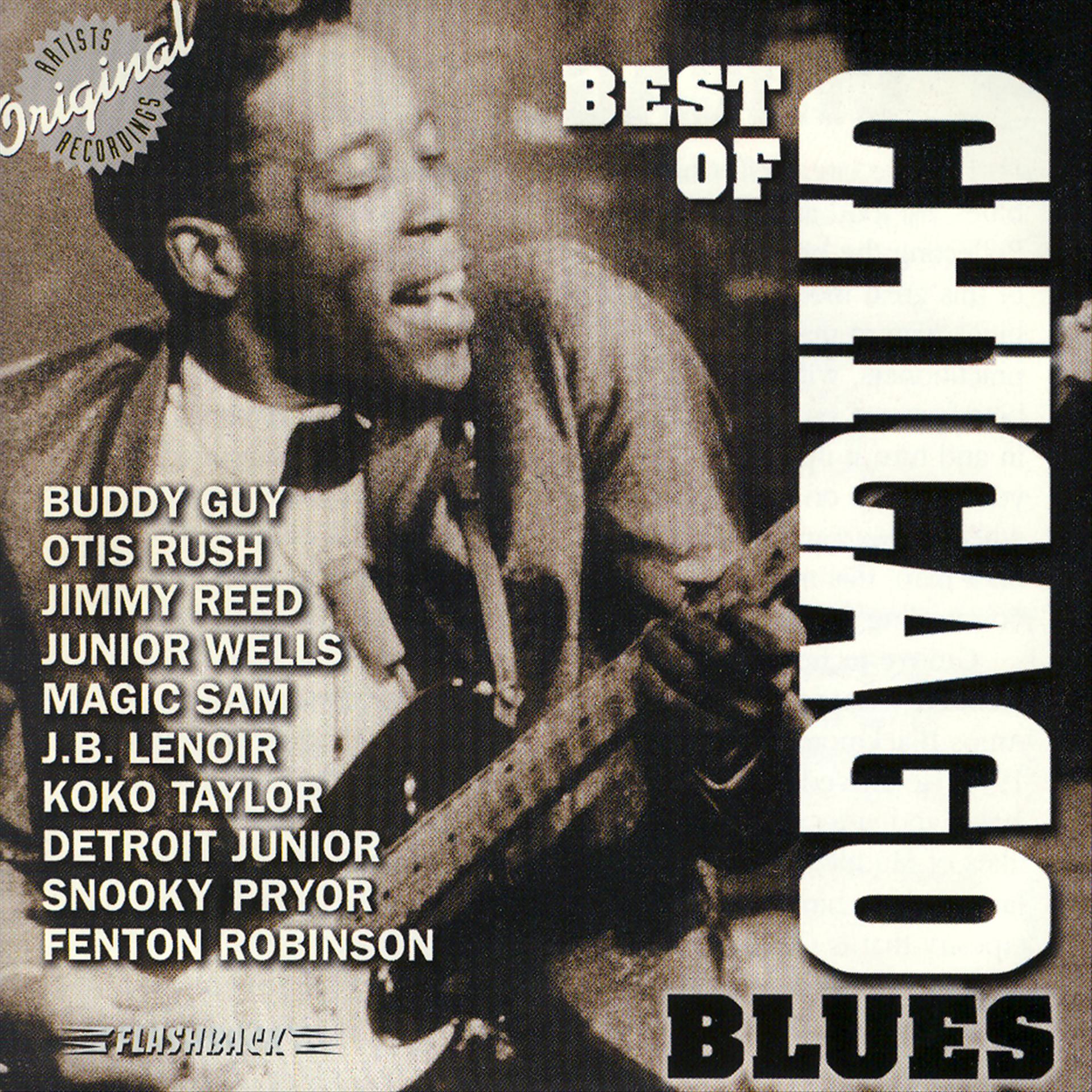 Постер альбома Best Of Chicago Blues