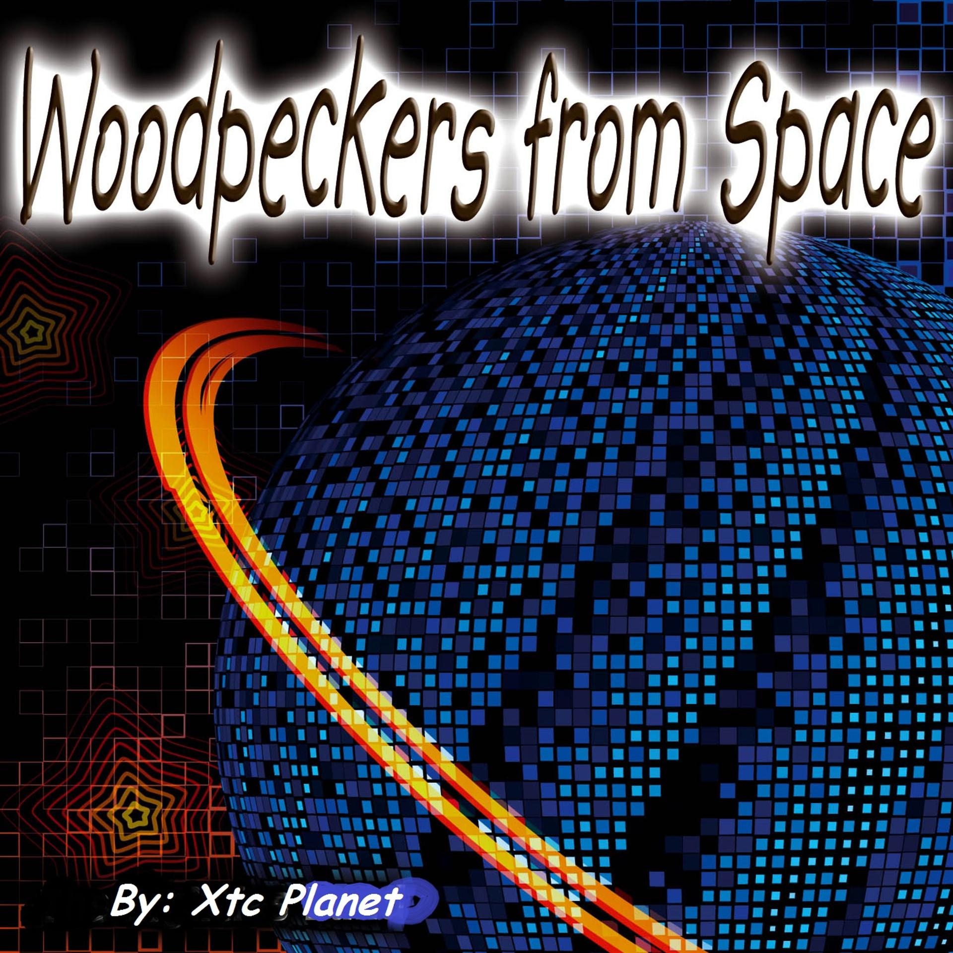 Постер альбома Woodpeckers from Space - Single
