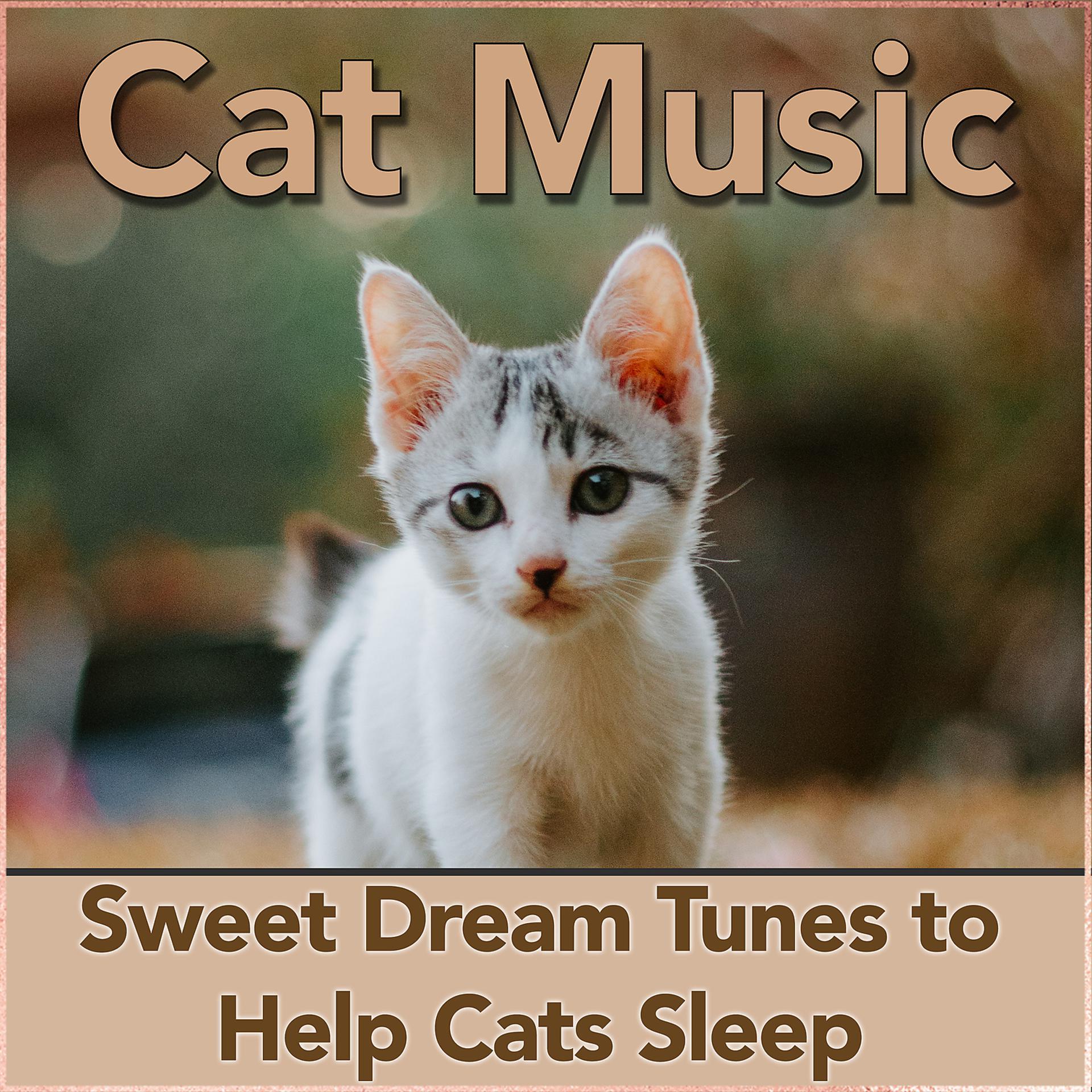 Постер альбома Cat Music: Sweet Dream Tunes to Help Cats Sleep