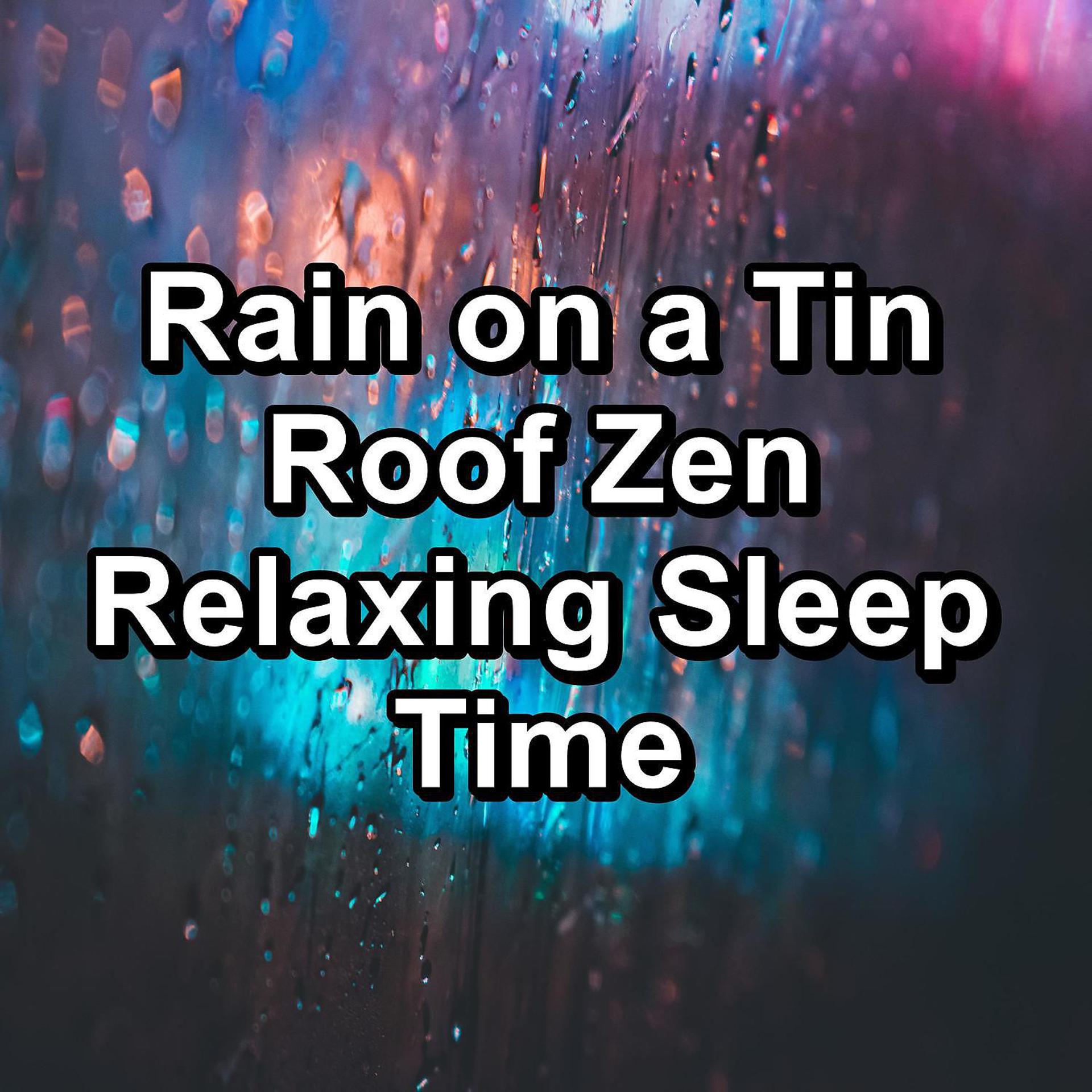Постер альбома Rain on a Tin Roof Zen Relaxing Sleep Time