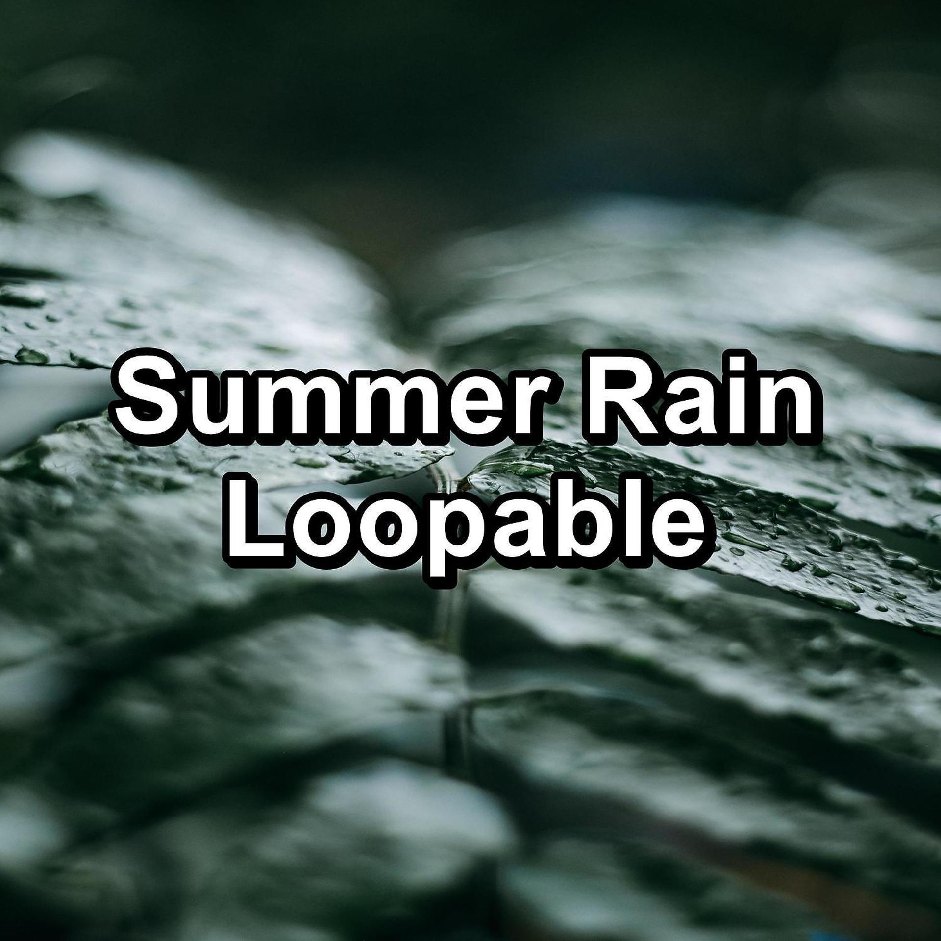 Постер альбома Summer Rain Loopable