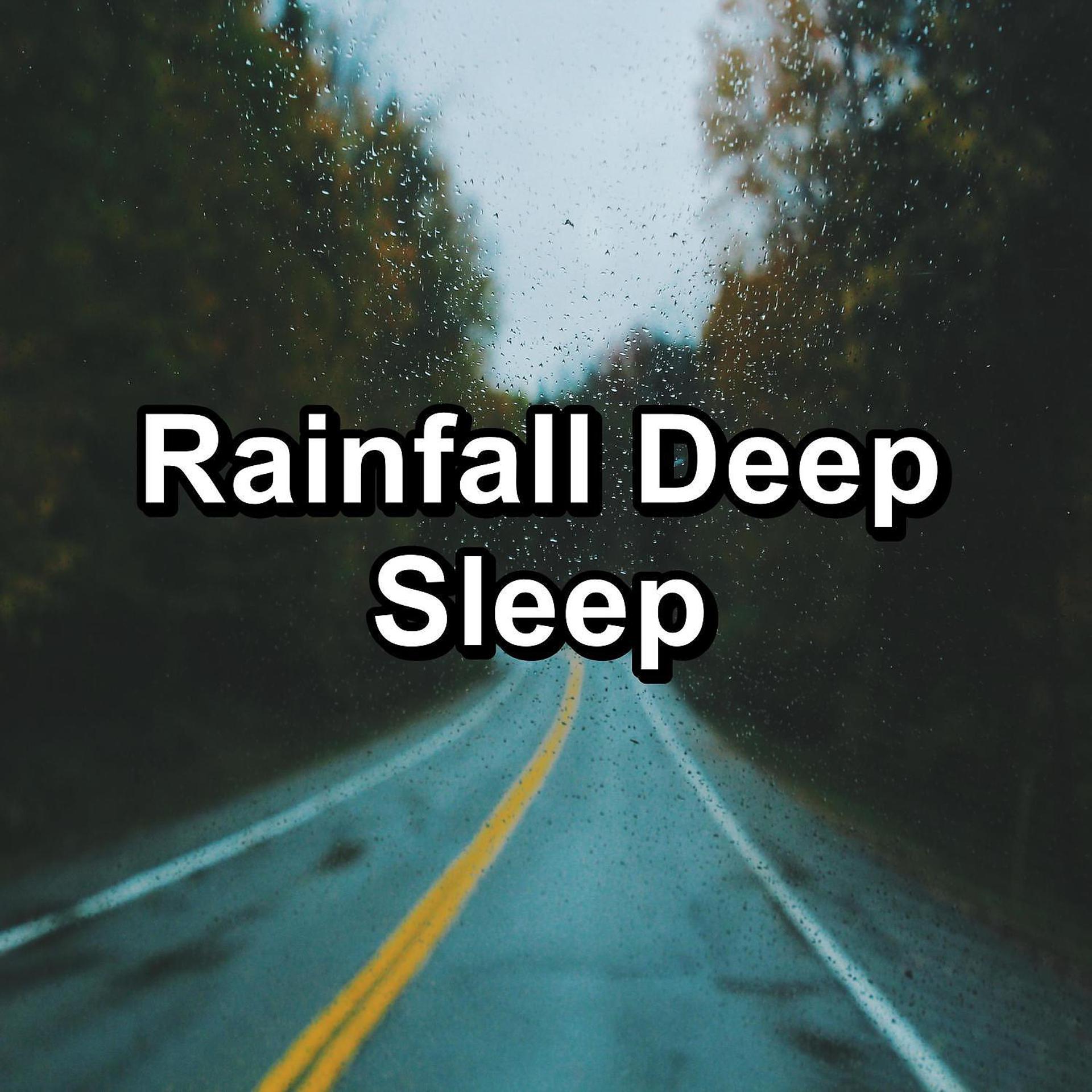 Постер альбома Rainfall Deep Sleep