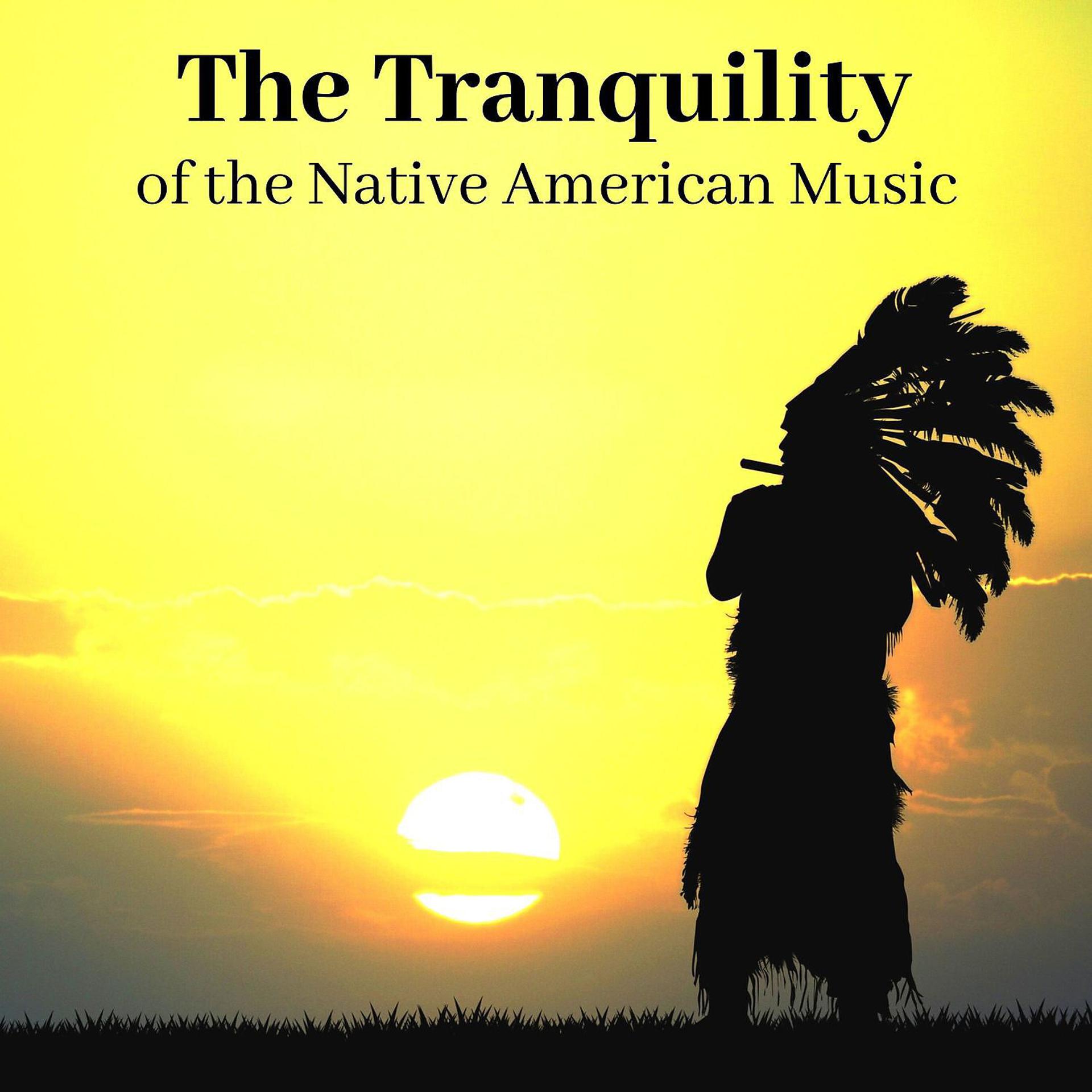 Постер альбома The Tranquility of the Native American Music: Sounds for Sleep, Yoga and Meditation