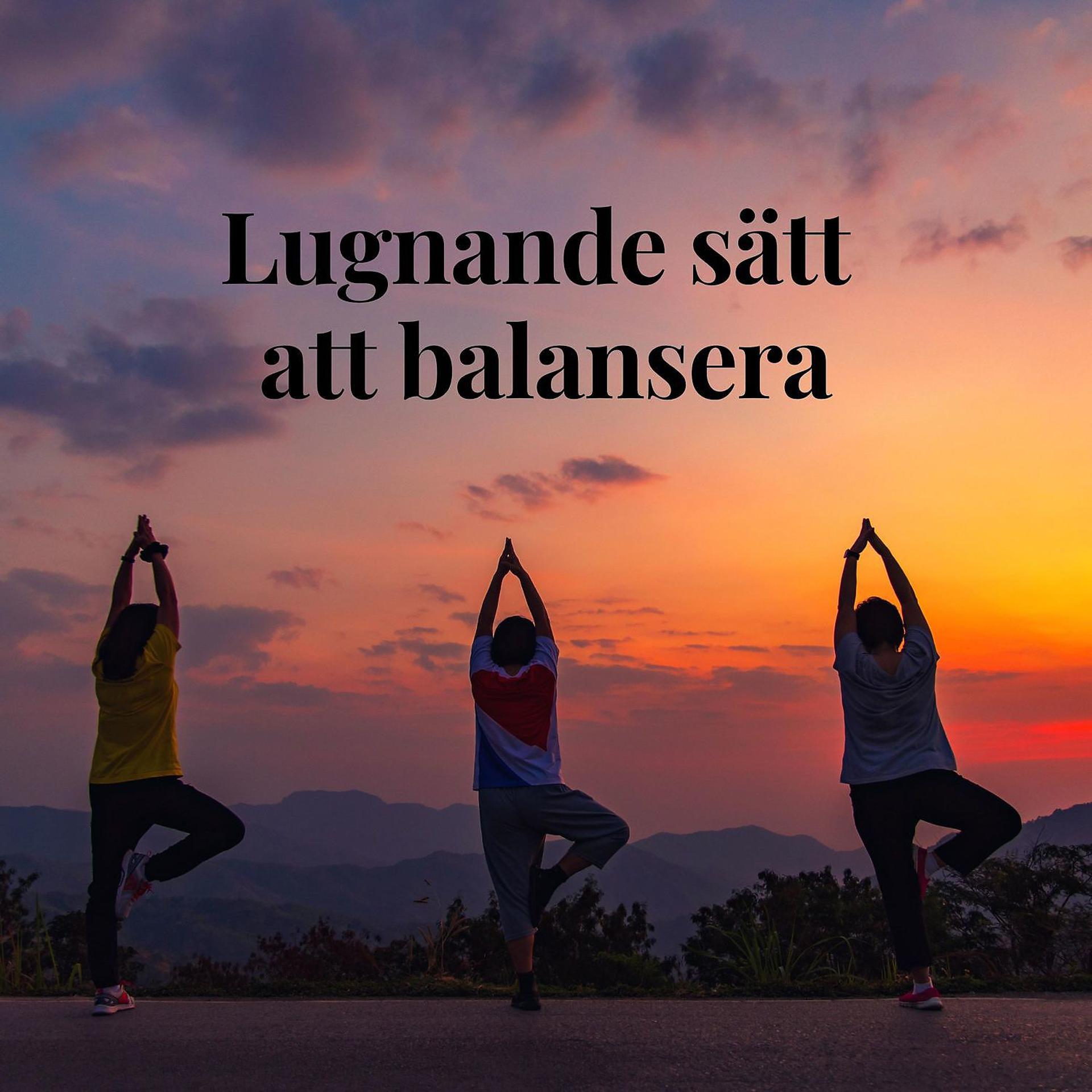 Постер альбома Lugnande sätt att balansera