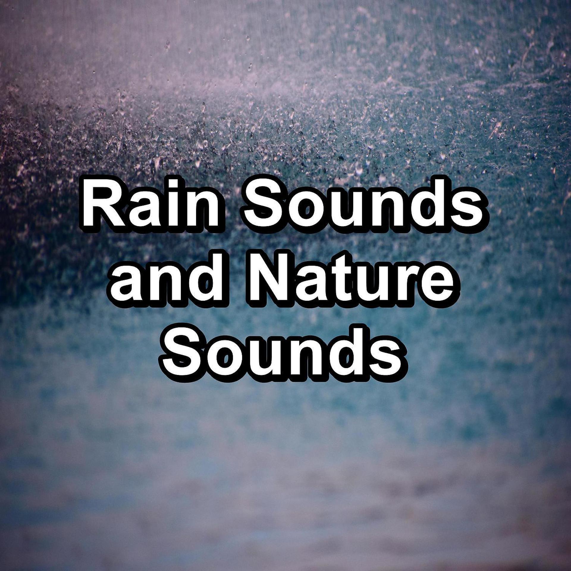 Постер альбома Rain Sounds and Nature Sounds