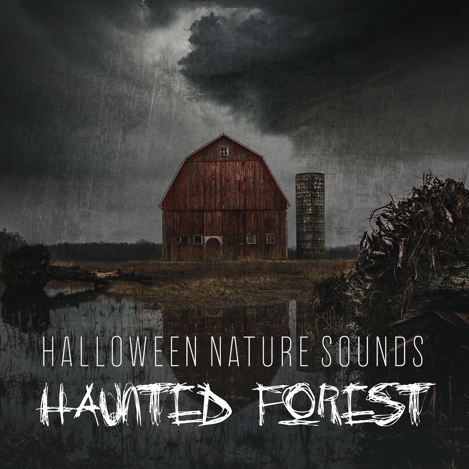 Постер альбома Halloween Nature Sounds: Haunted Forest - Fireplace with Thunder, Rain and Howling Wind, Halloween 2019 & Creepy Music