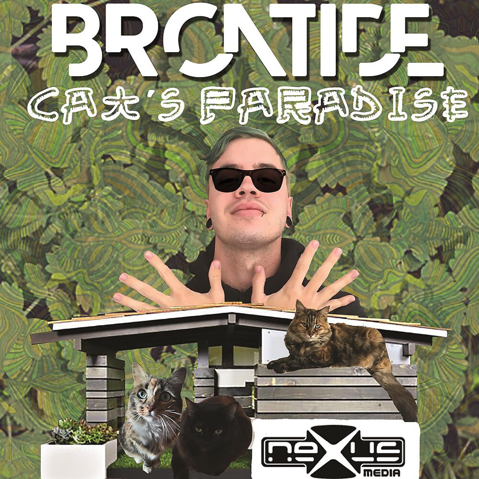 Постер альбома Cat's Paradise