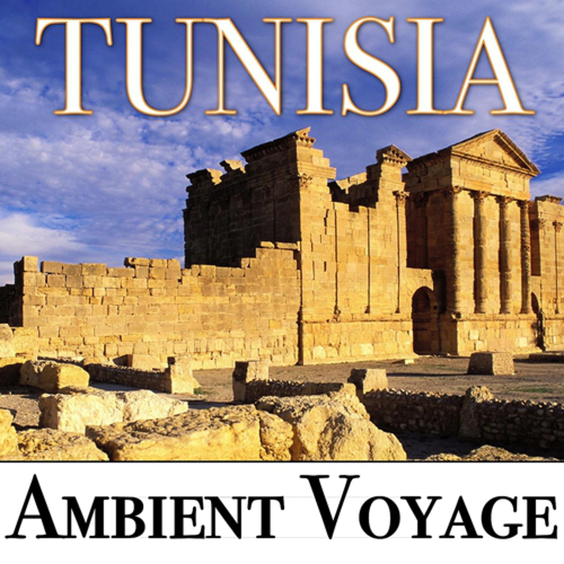 Постер альбома Ambient Voyage: Tunisia