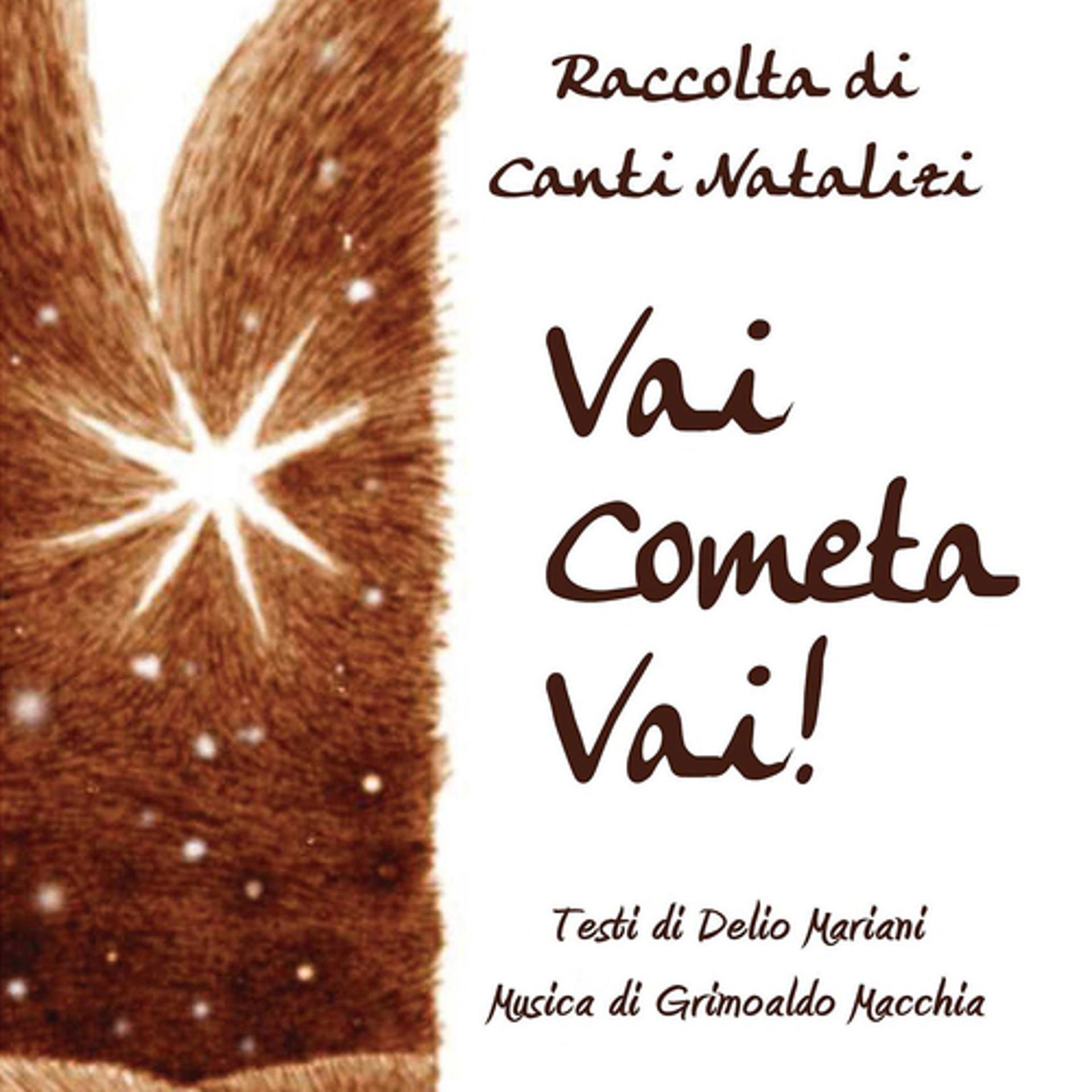 Постер альбома Vai cometa vai!