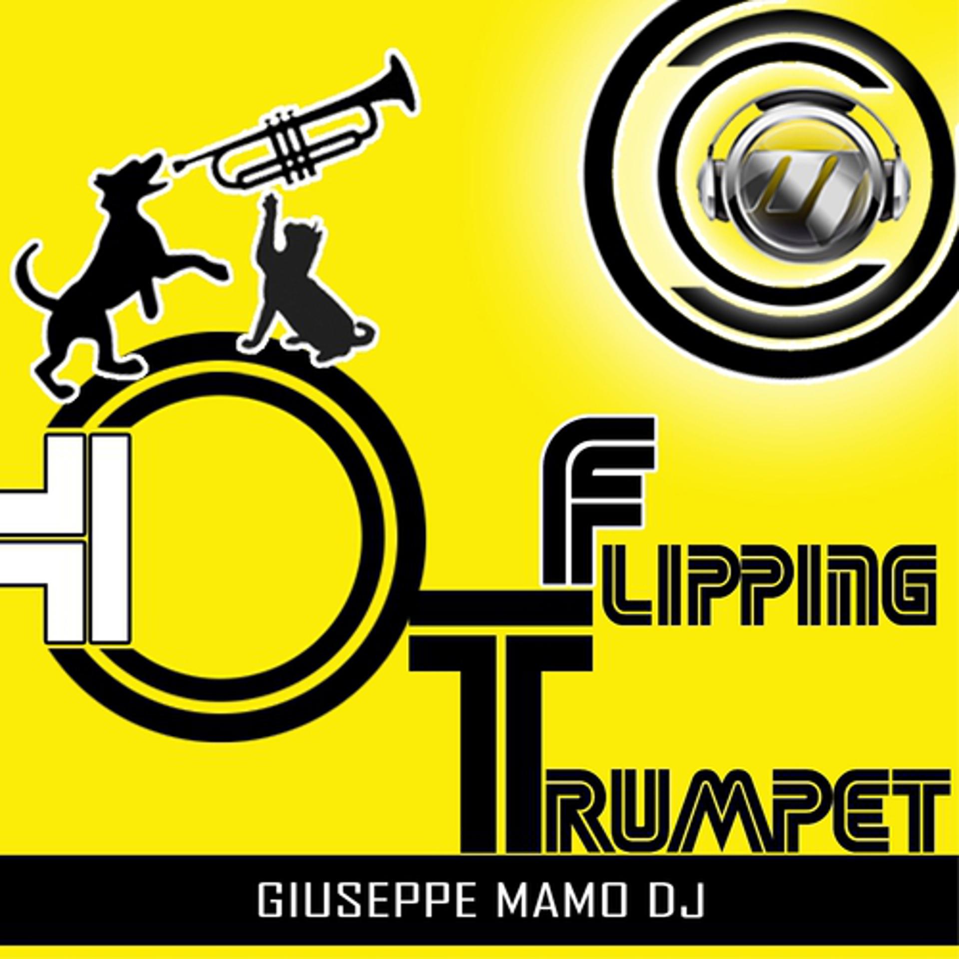 Постер альбома Flippin Trumpet