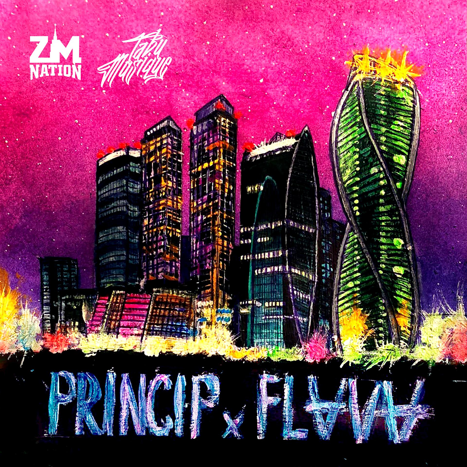 Постер альбома Princip x Flava