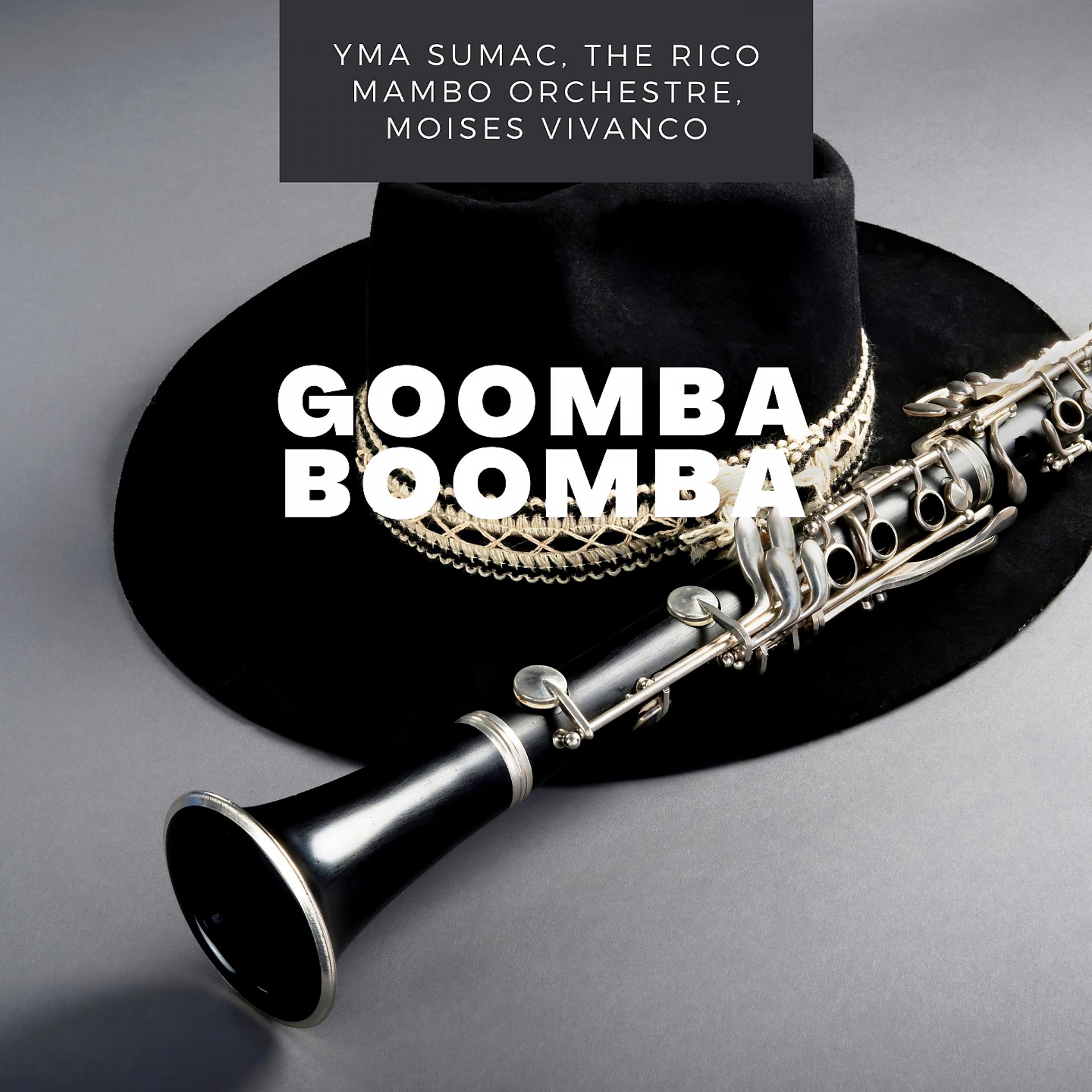Постер альбома Goomba Boomba