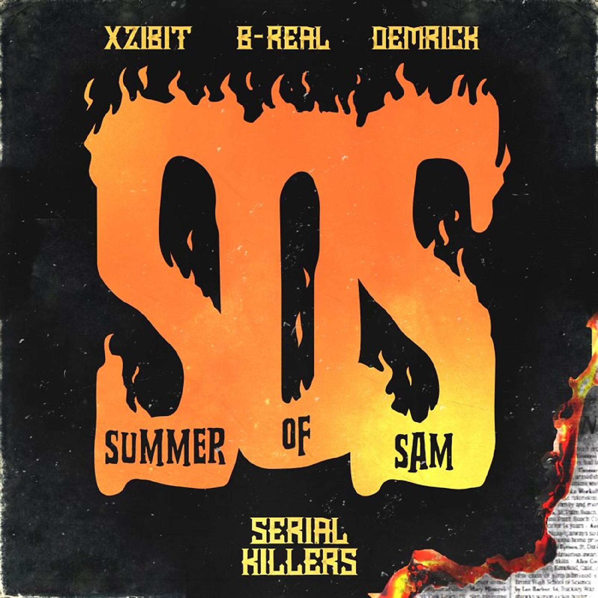 Постер альбома Summer of Sam