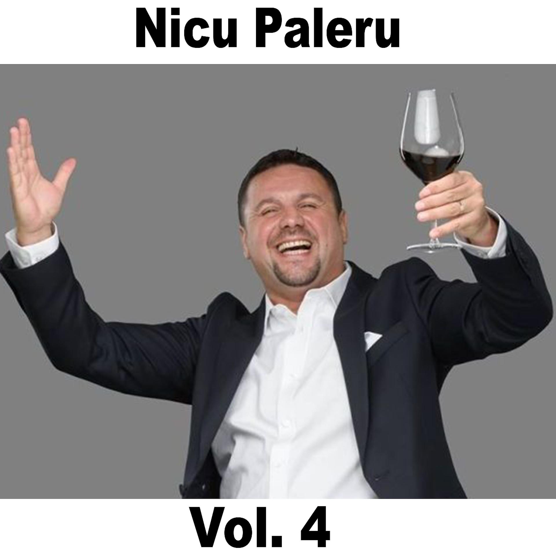 Постер альбома Nicu Paleru Best Hits, Vol. 4