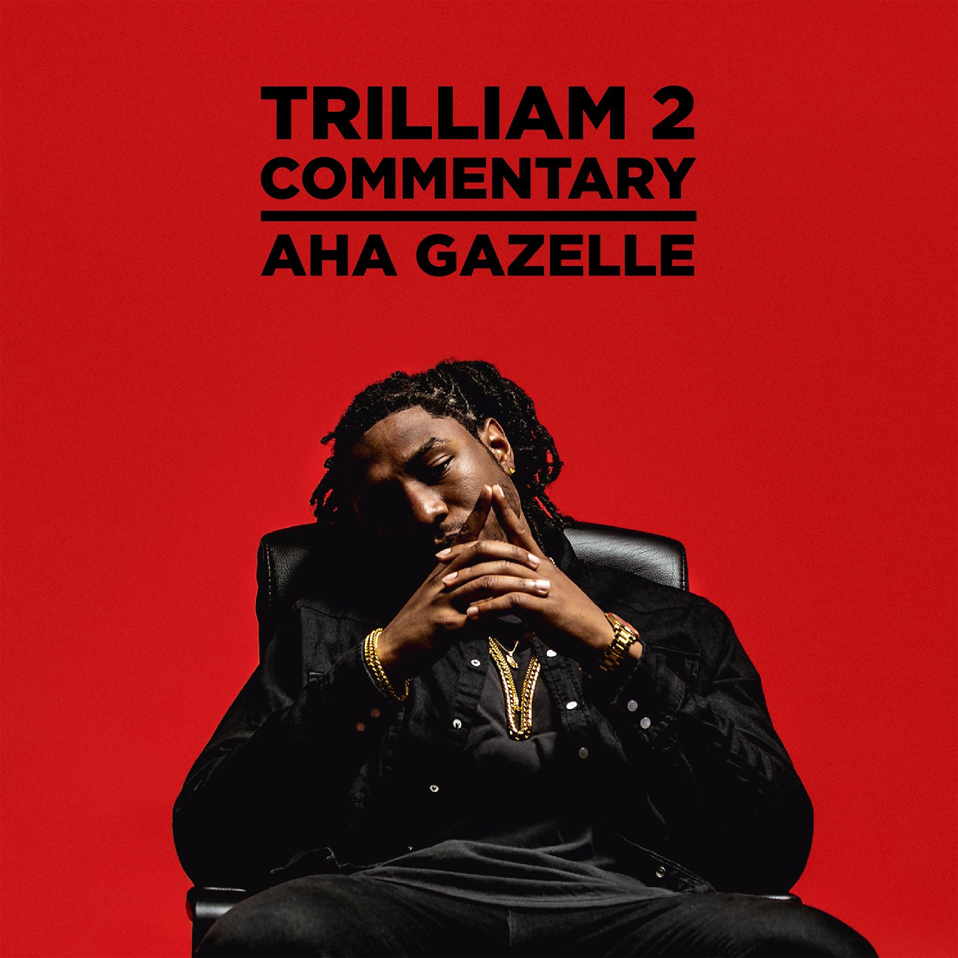 Постер альбома Trilliam 2 (Commentary)