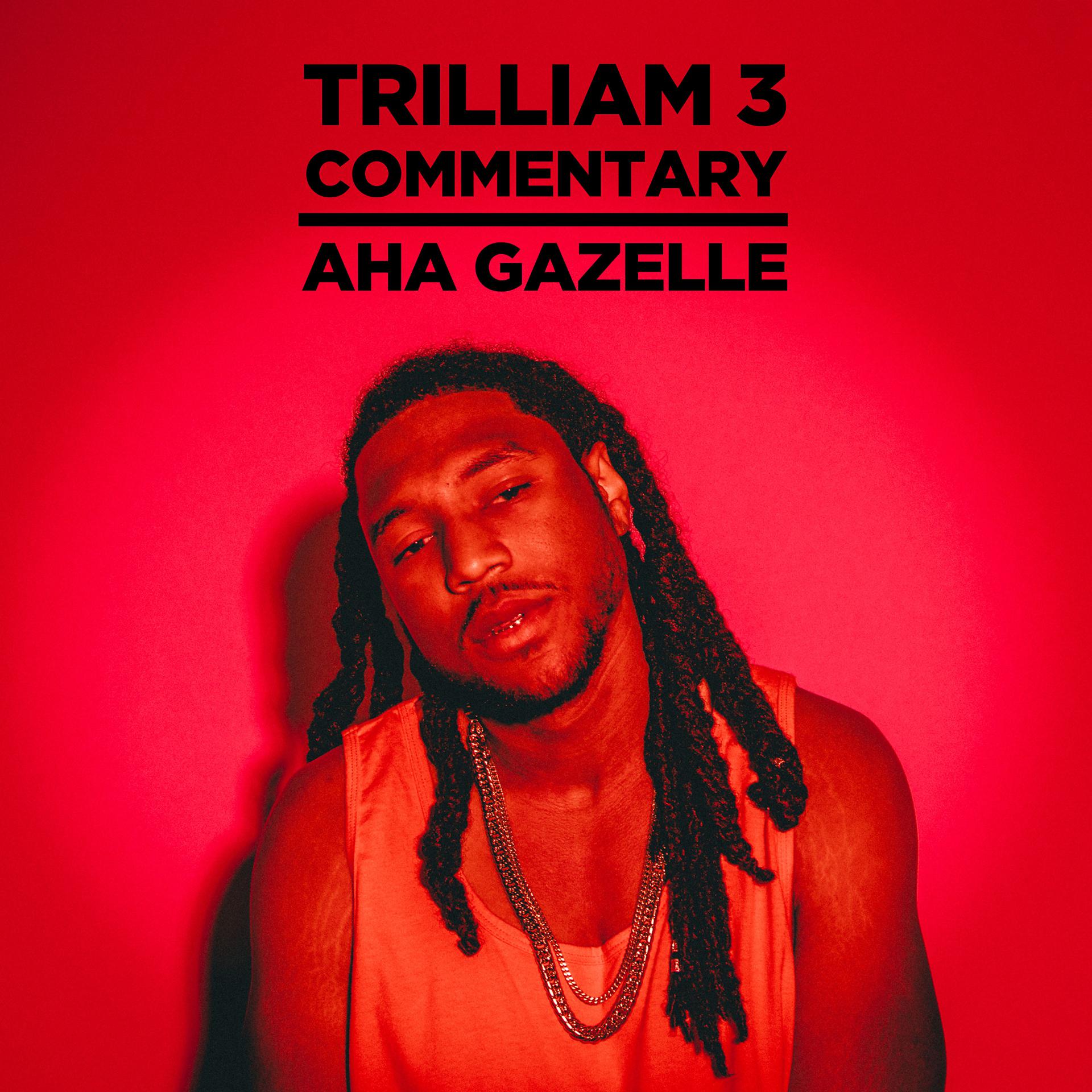 Постер альбома Trilliam 3 (Commentary)
