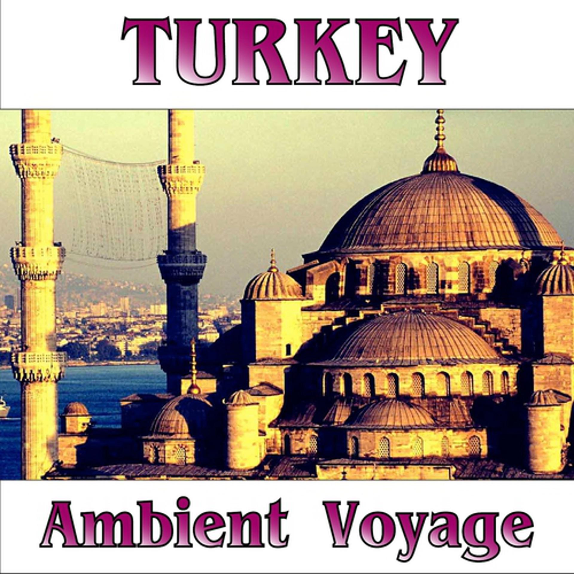 Постер альбома Ambient Voyage: Turkey