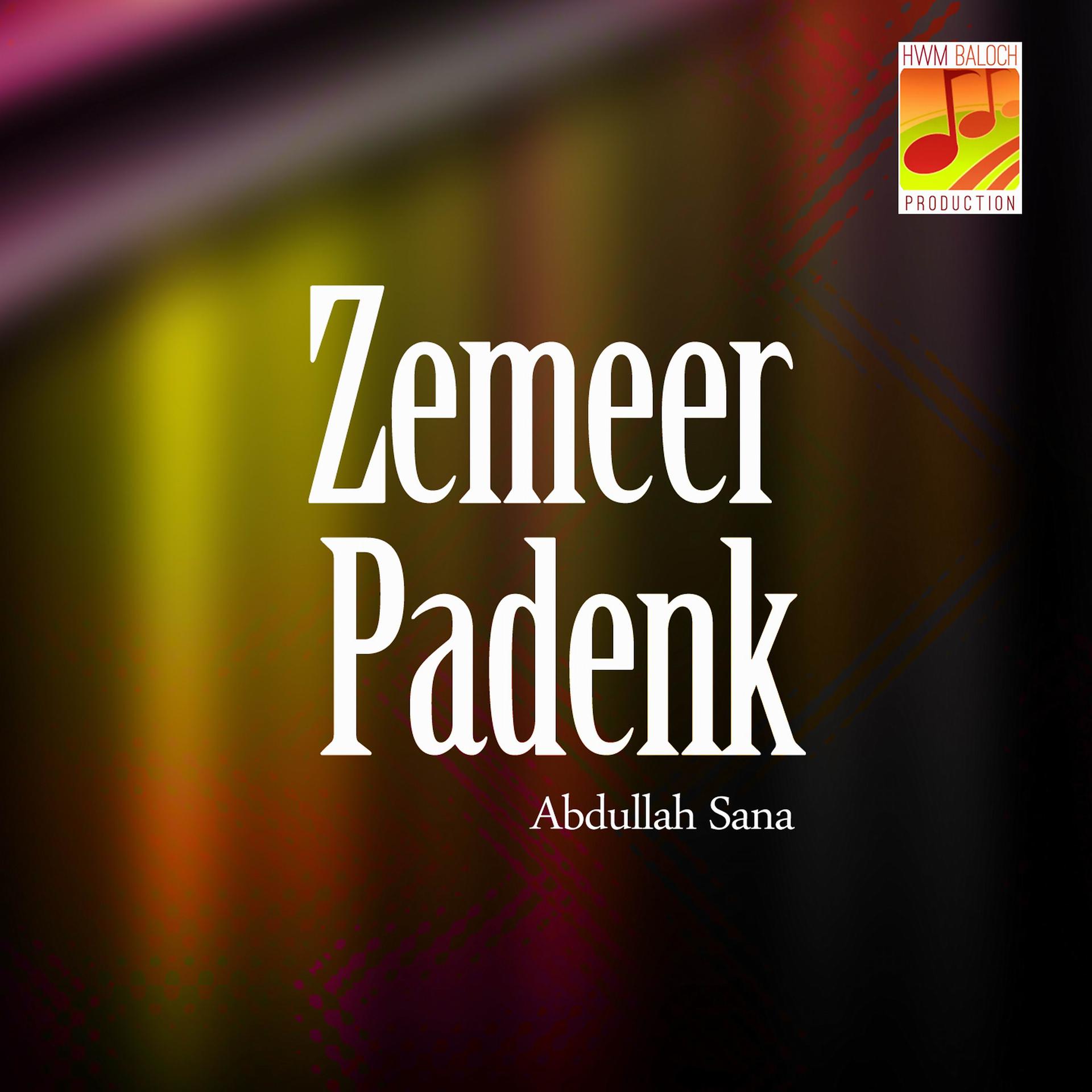 Постер альбома Zemeer Padenk