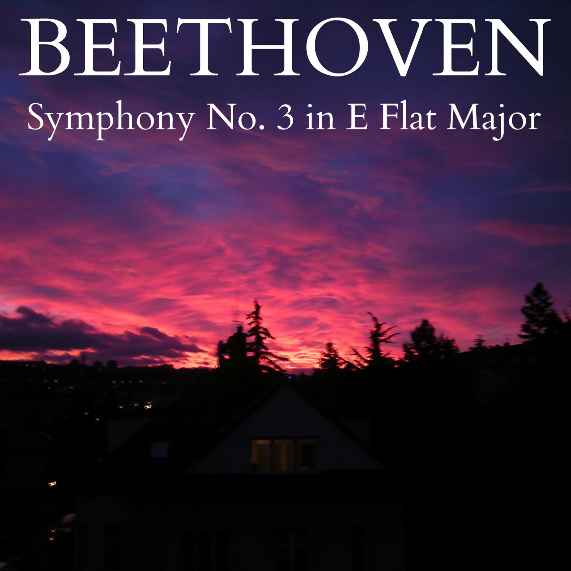 Постер альбома Beethoven - Symphony No. 3 in E Flat Major, Op. 55