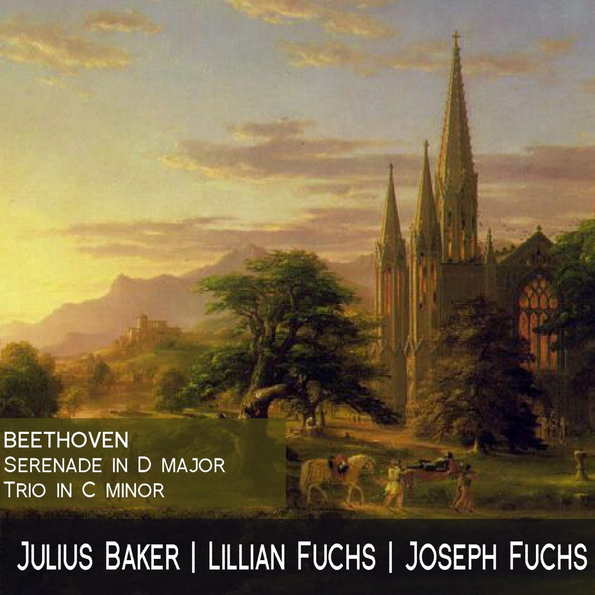 Постер альбома Beethoven: Serenade in D Major, Trio in C Minor