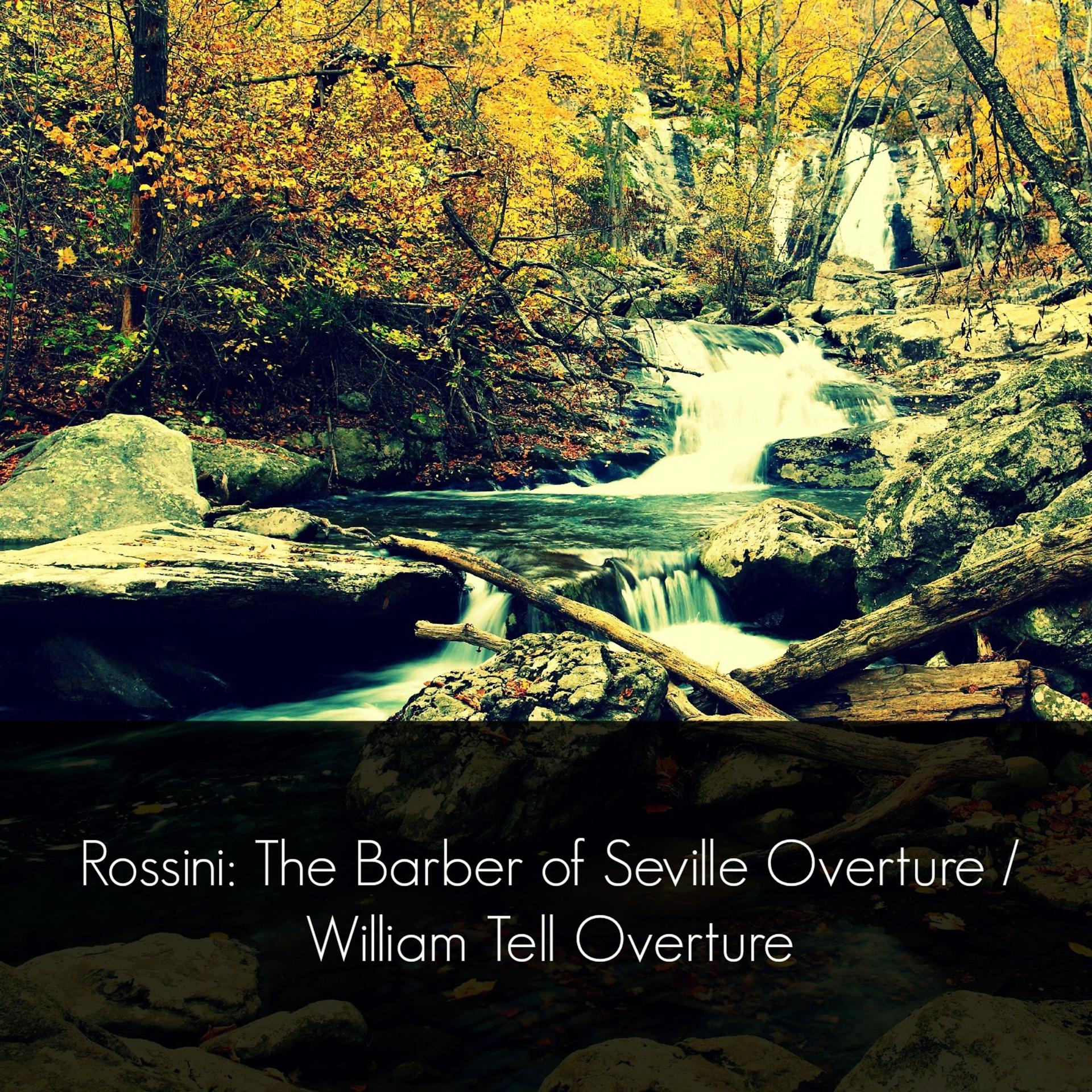 Постер альбома Rossini: The Barber of Seville Overture / William Tell Overture