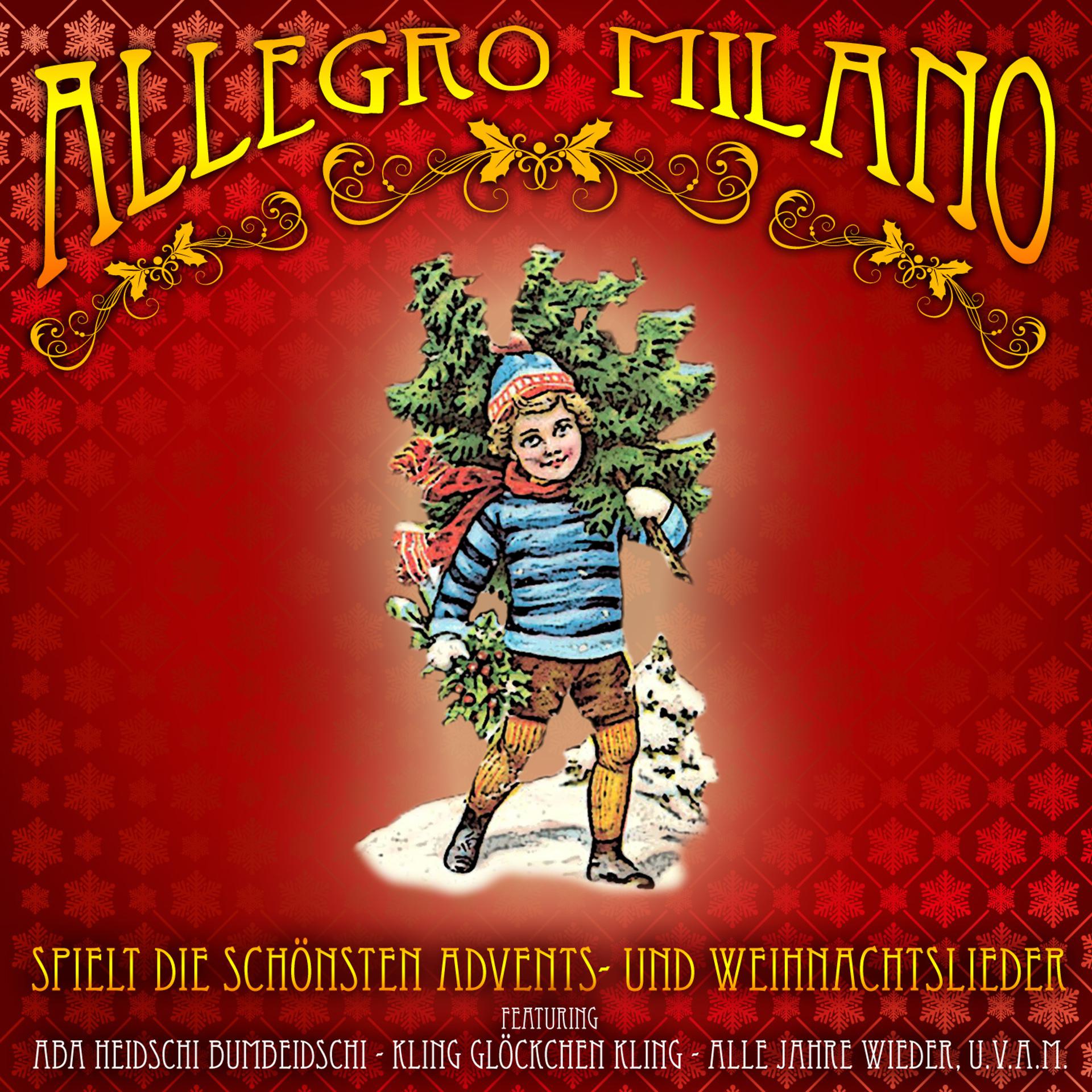 Постер альбома Allegro Milano spielt die schönsten deutschen Advents & Weihnachtslieder