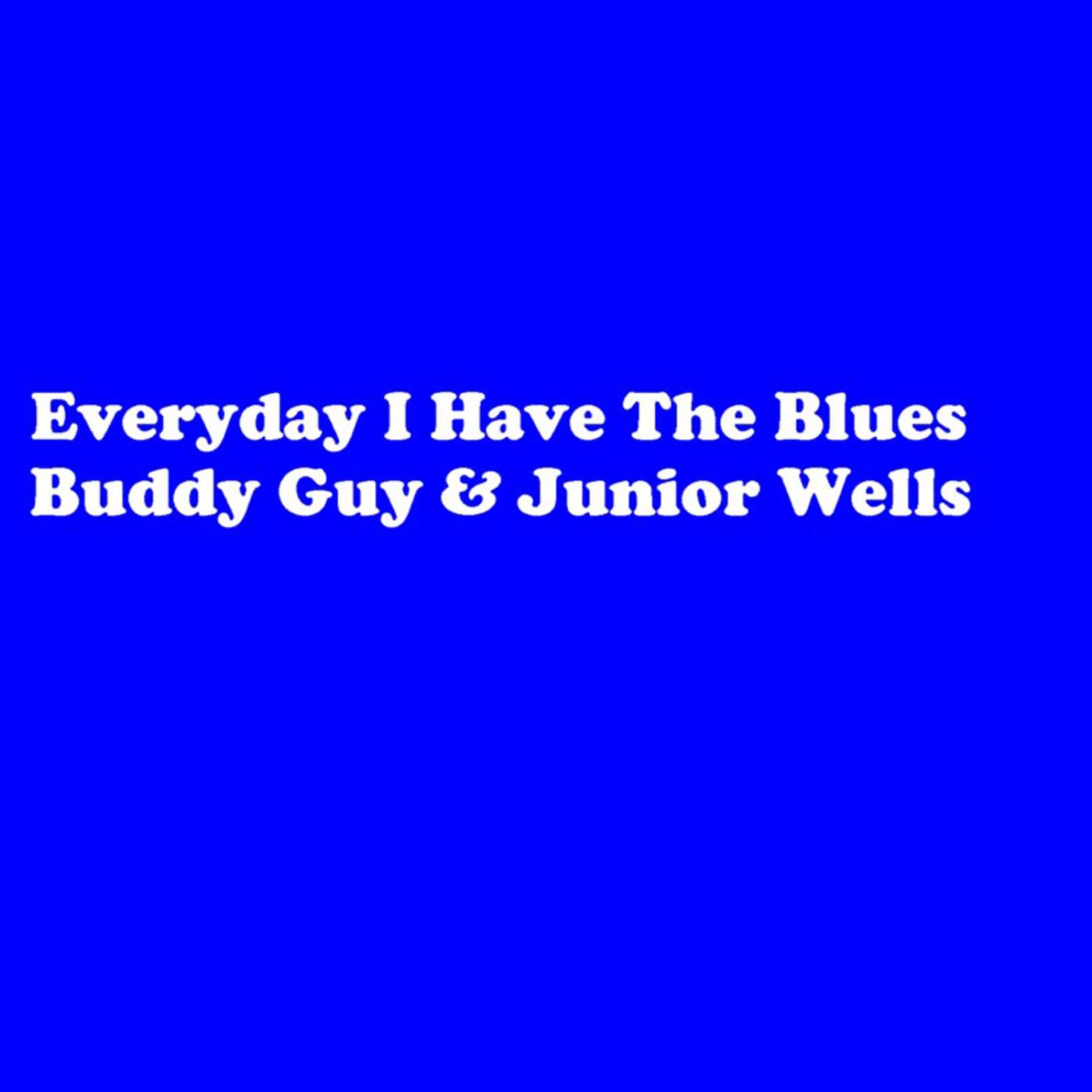 Постер альбома Every Day I Have The Blues