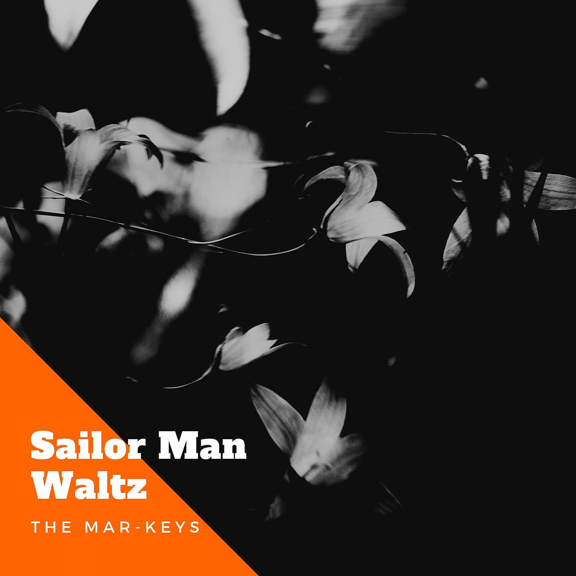Постер альбома Sailor Man Waltz