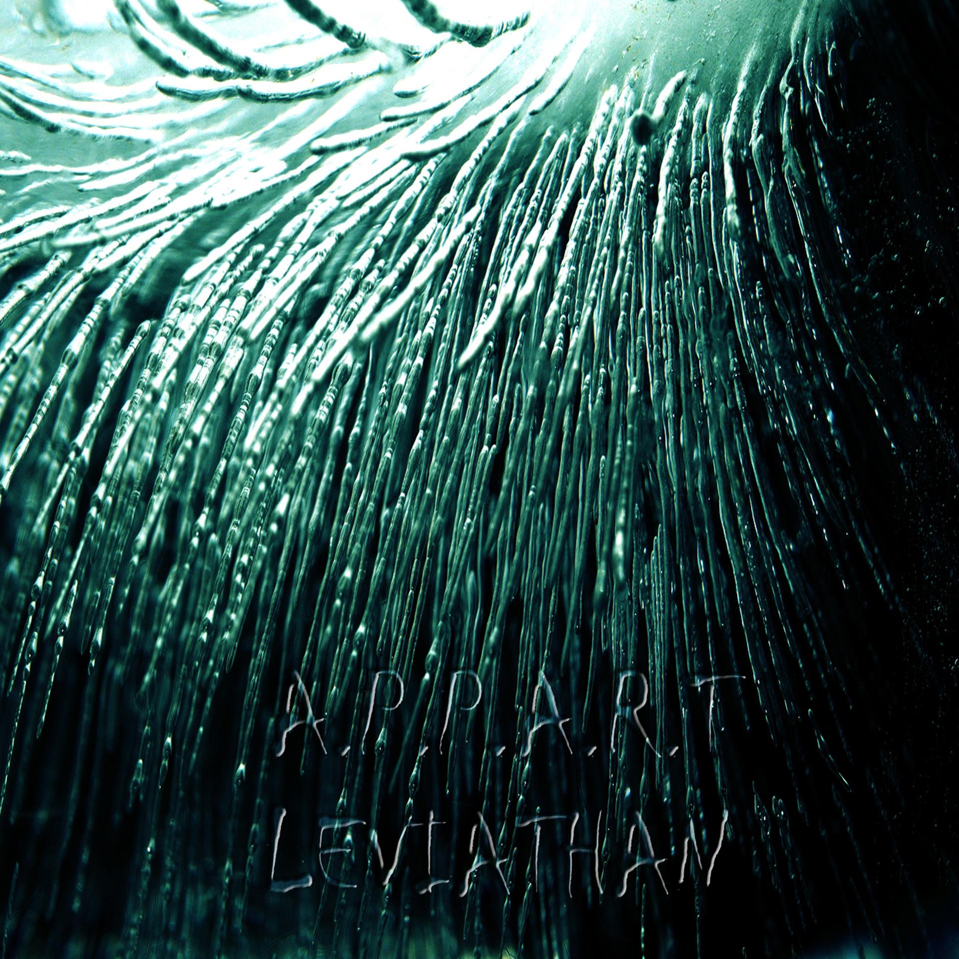 Постер альбома Worx for Ballet, Vol. 9 : Leviathan