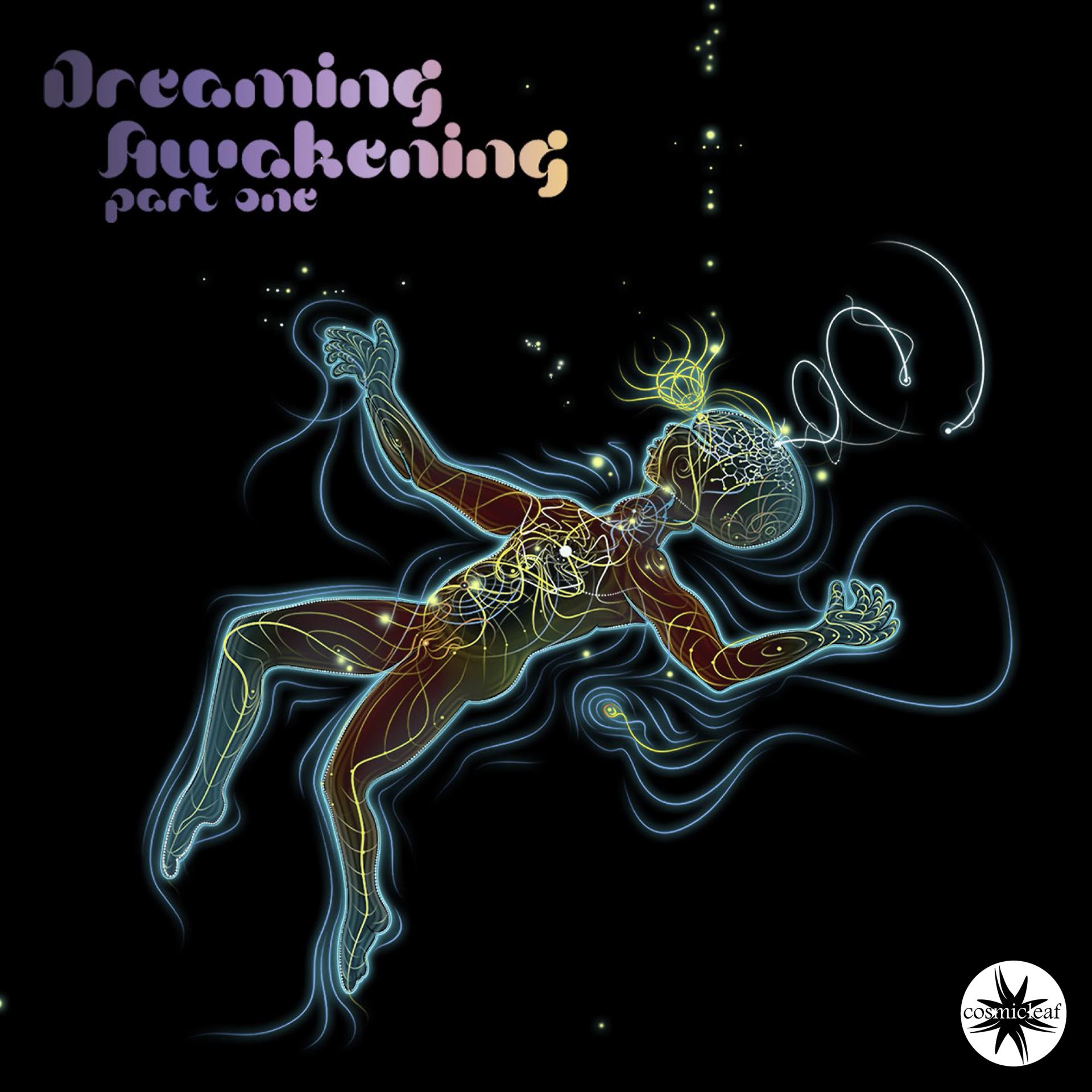 Постер альбома Dreaming Awakening, Pt. 1