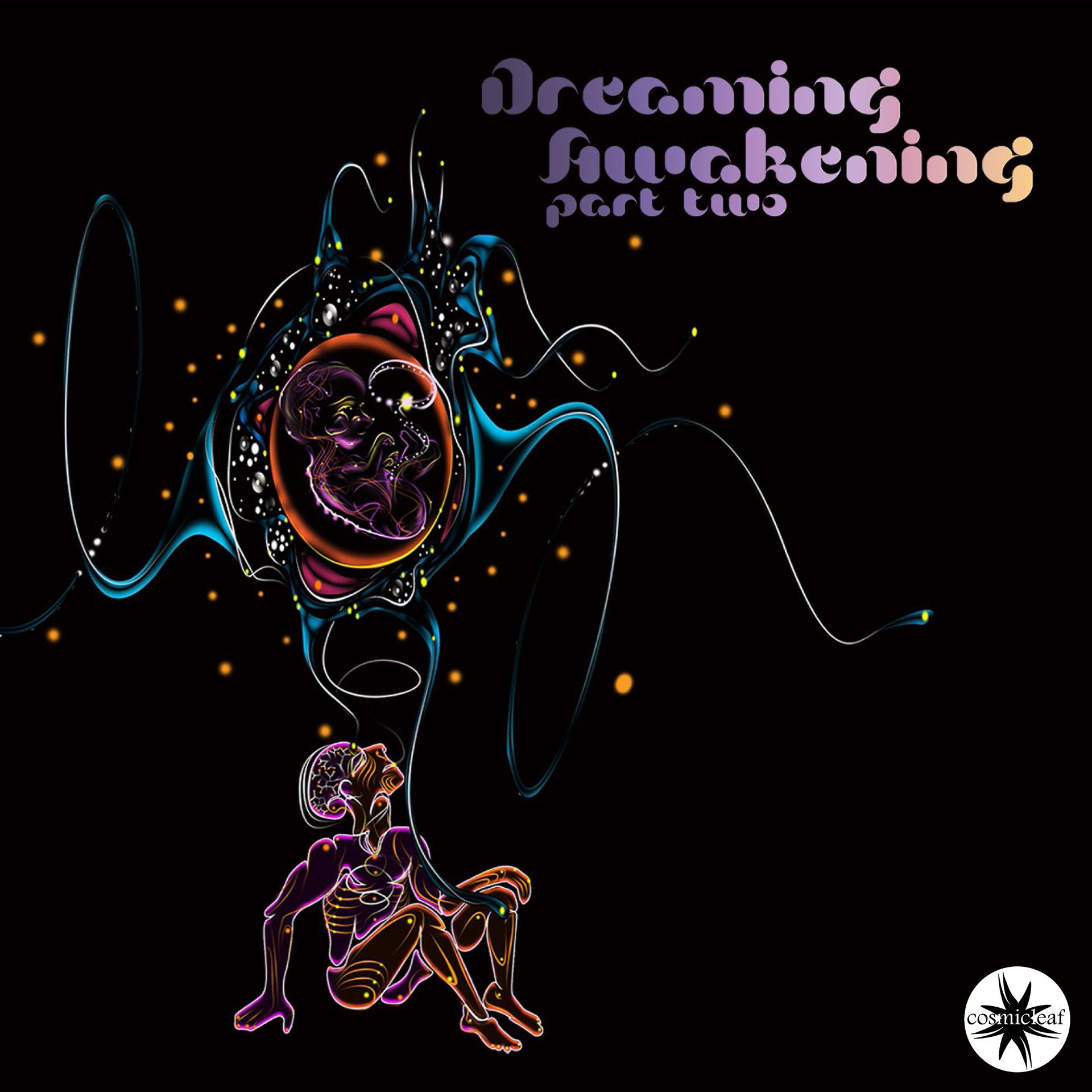 Постер альбома Dreaming Awakening, Pt. 2