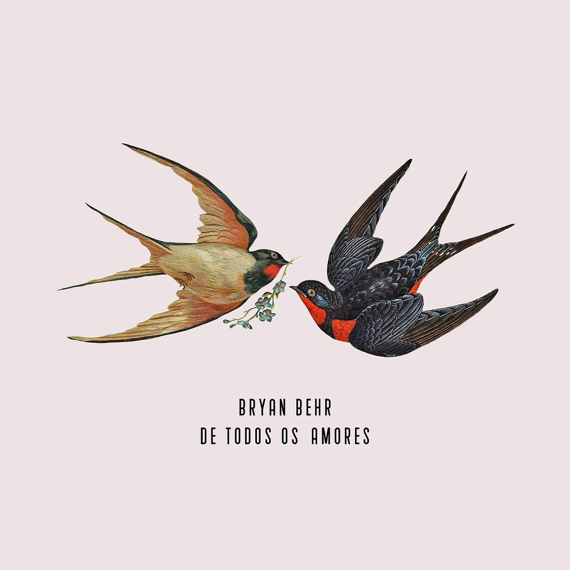 Постер альбома De Todos Os Amores