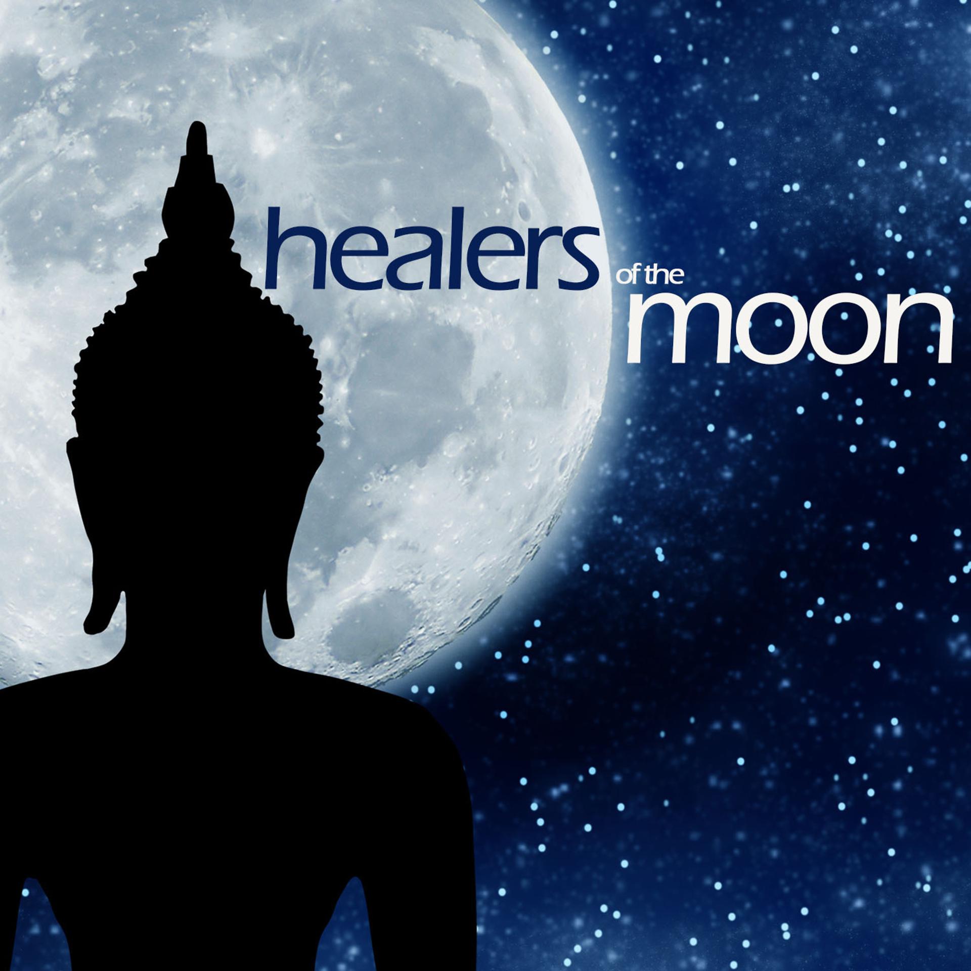 Постер альбома Healers of the Moon