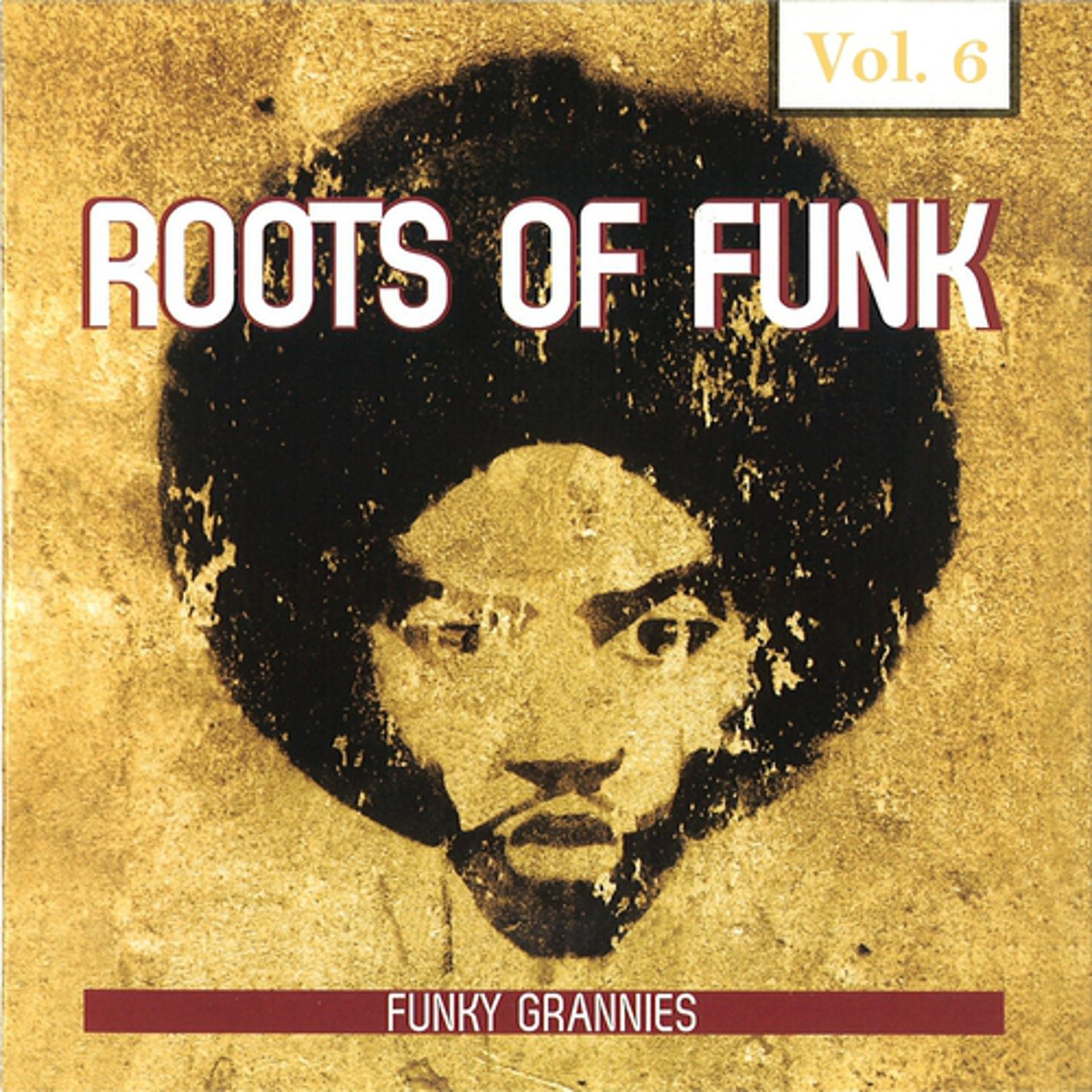 Постер альбома Roots of Funk, Vol. 6