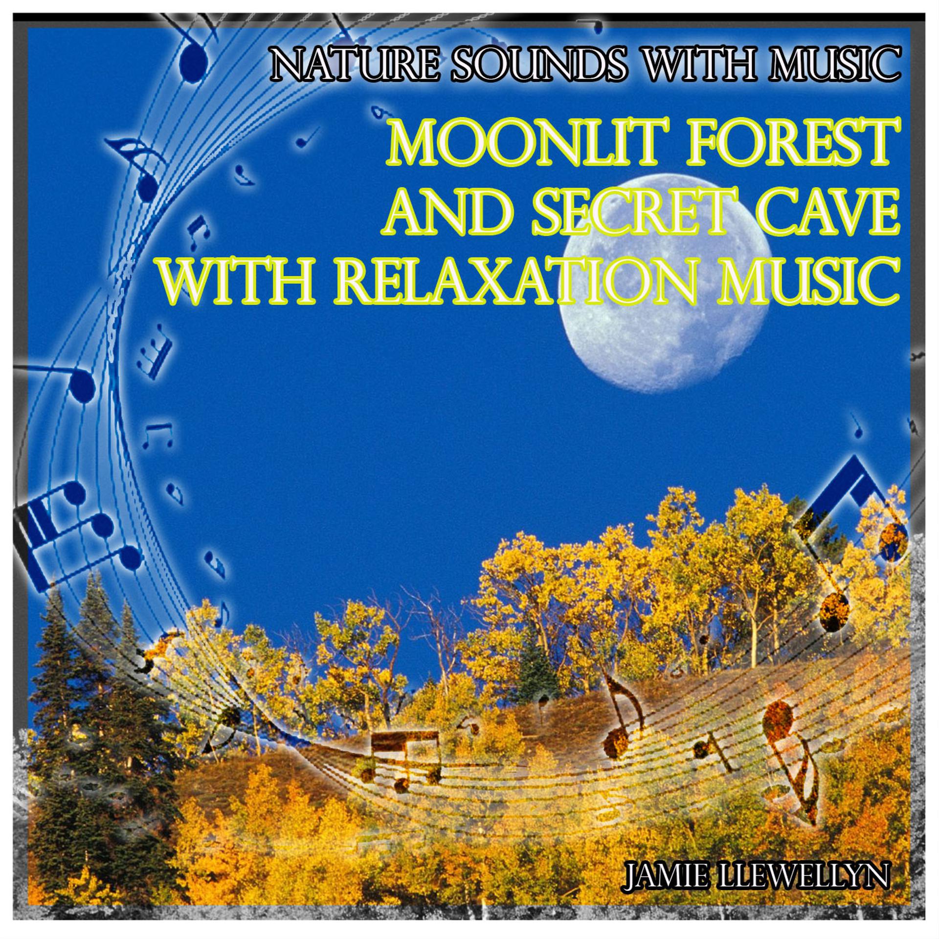 Постер альбома Nature Sounds with Music: Moonlit Forest and Secret Cave with Relaxation Music