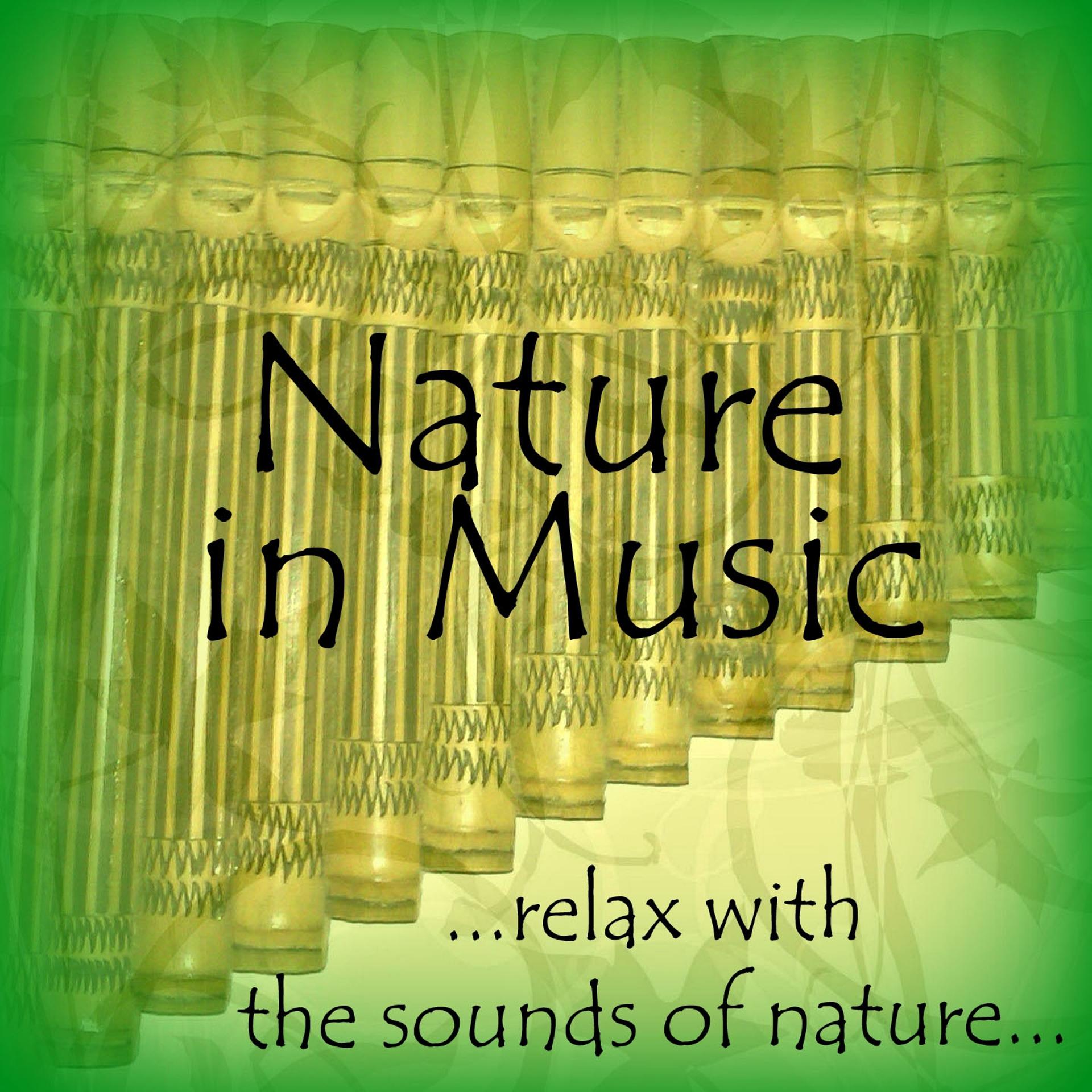 Постер альбома Nature in Music (Relax With the Sounds of Nature)