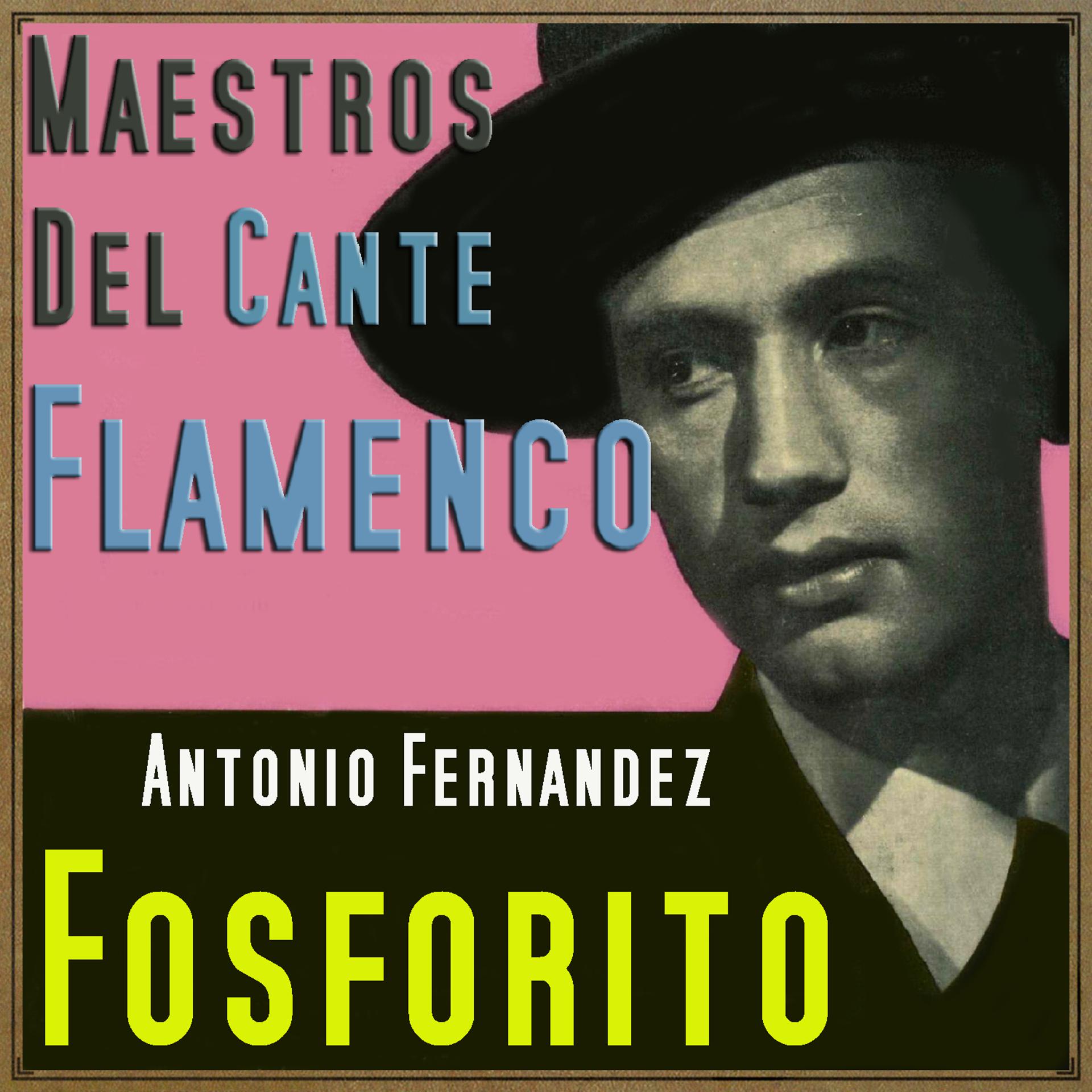Постер альбома Maestros del Cante Flamenco