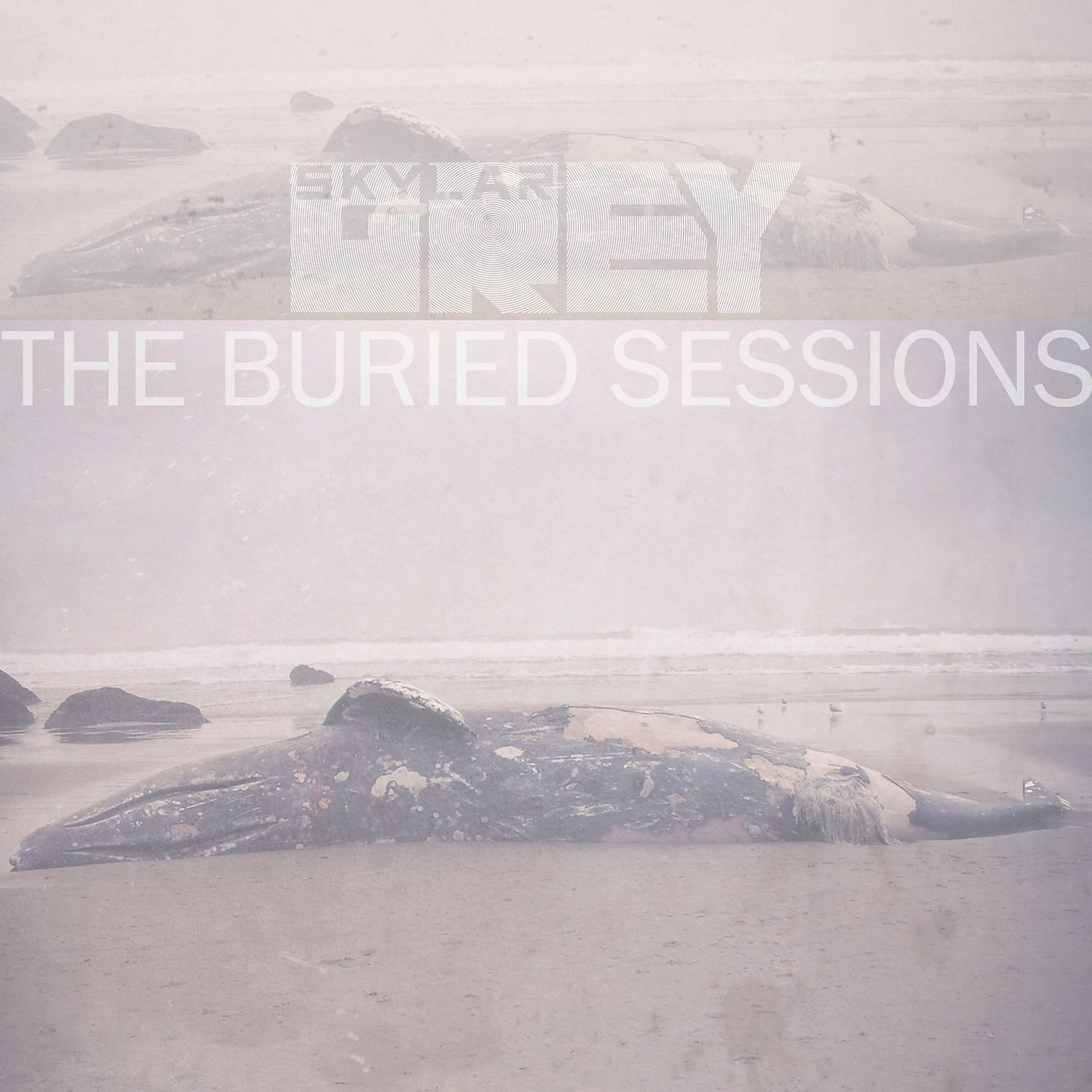 Постер альбома The Buried Sessions of Skylar Grey