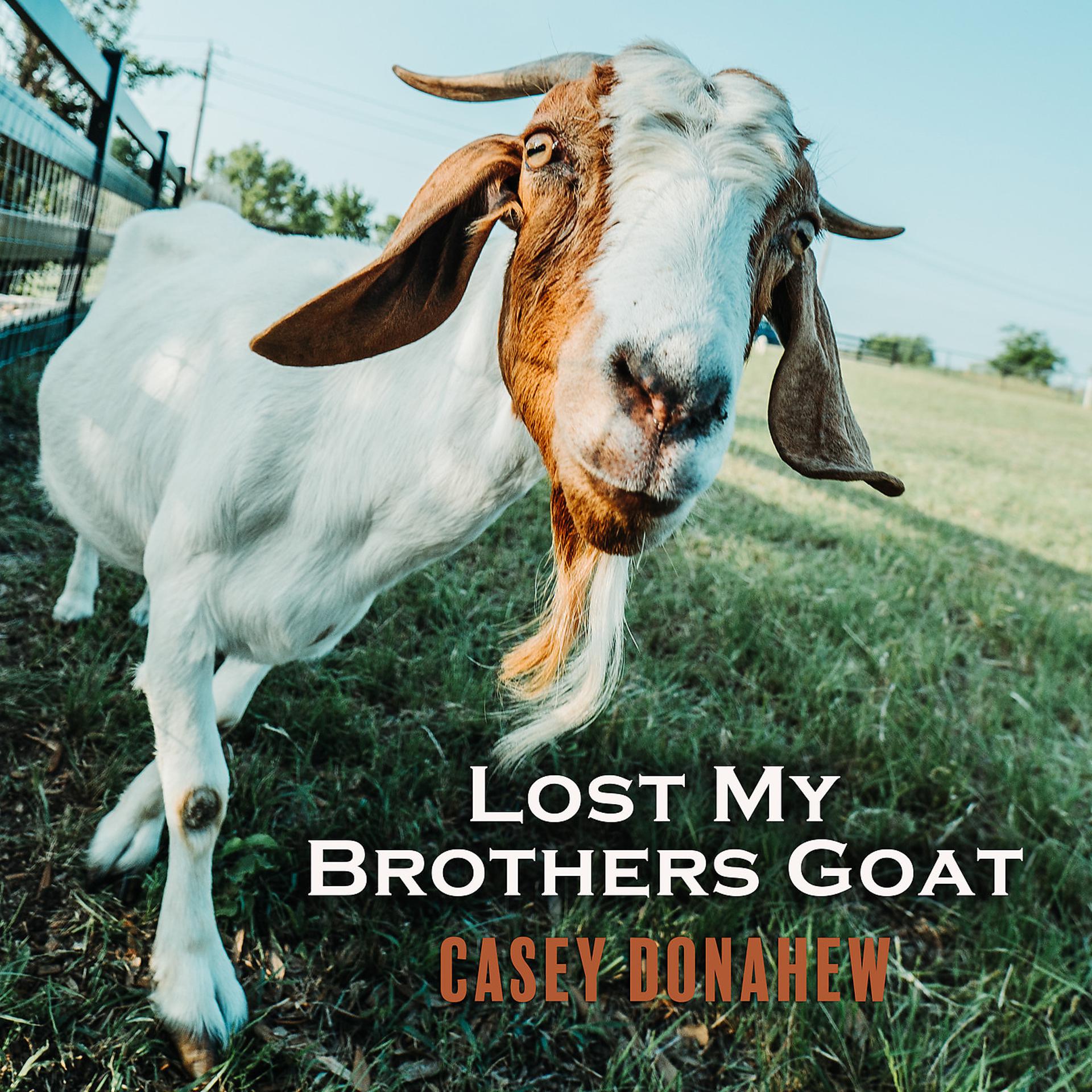 Постер альбома Lost My Brothers Goat