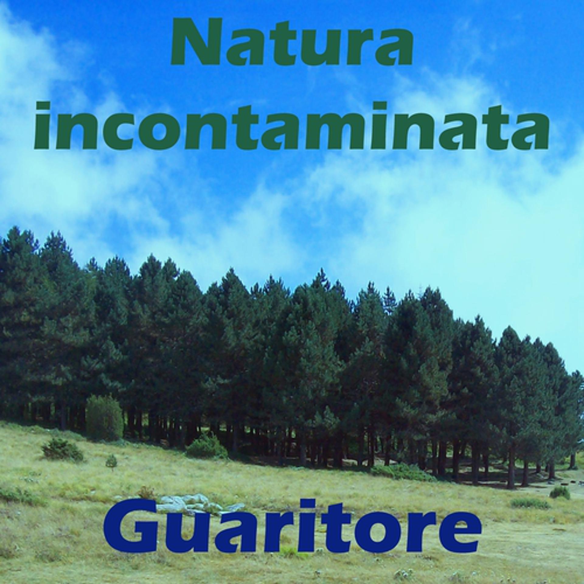 Постер альбома Natura incontaminata