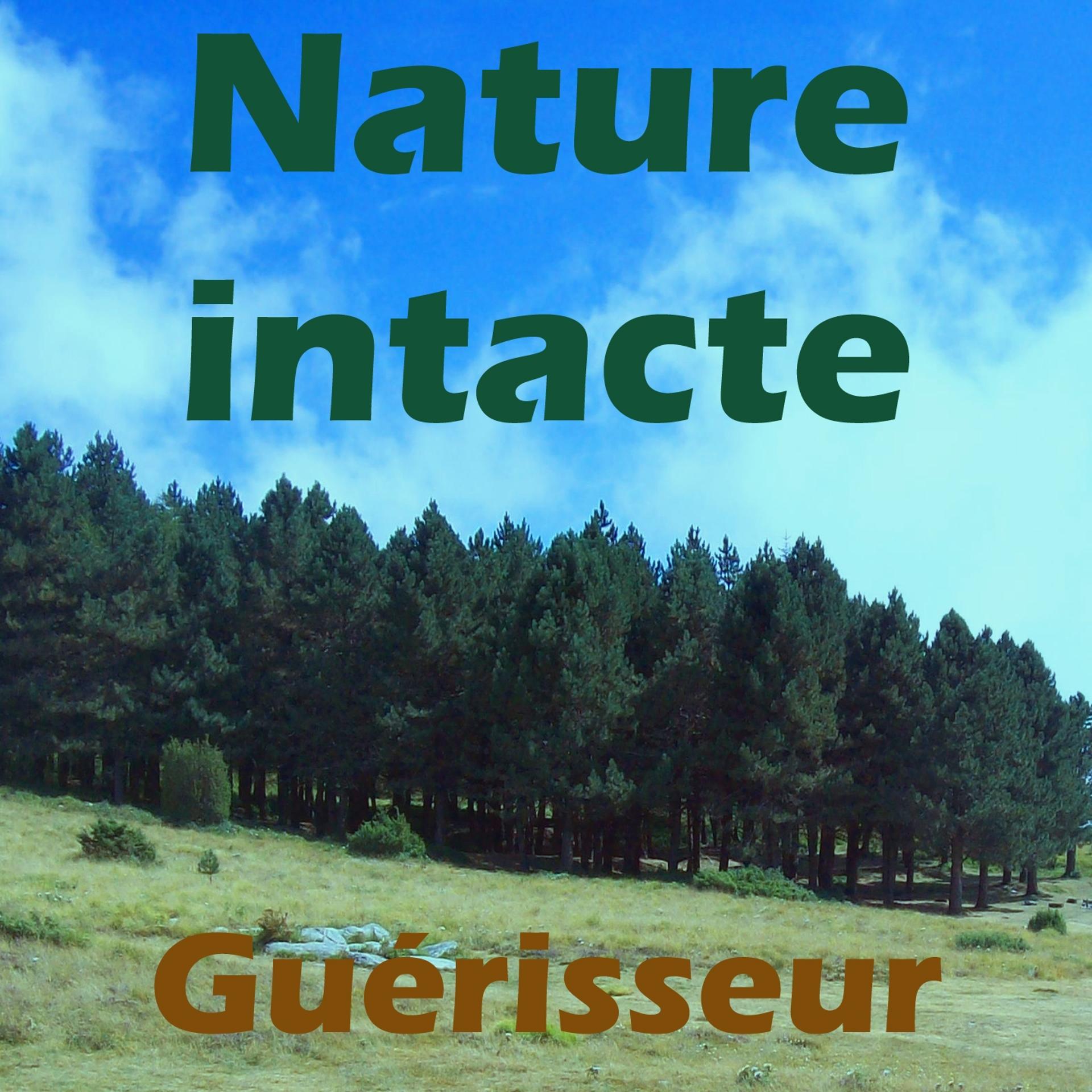 Постер альбома Nature intacte