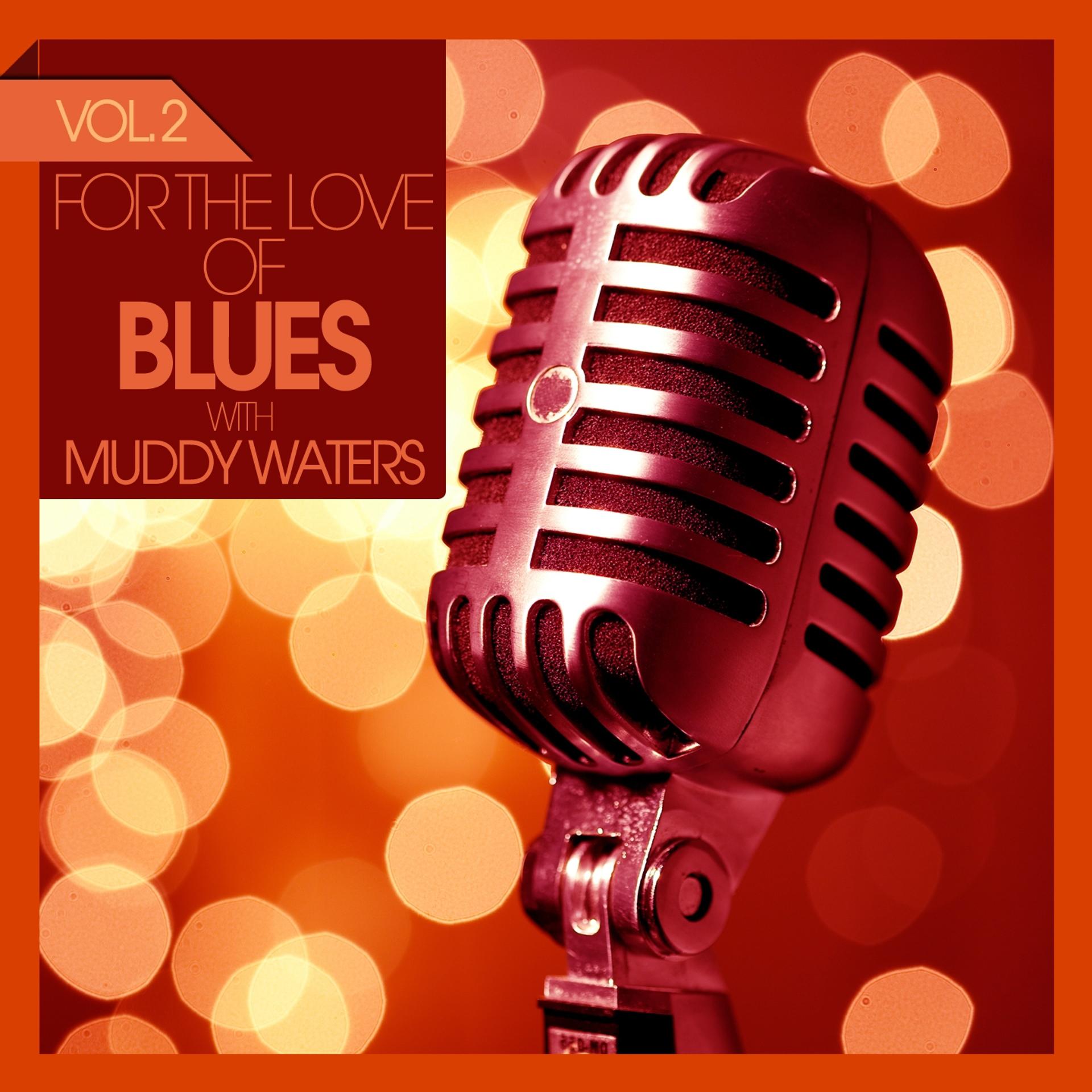 Постер альбома For the Love of Blues