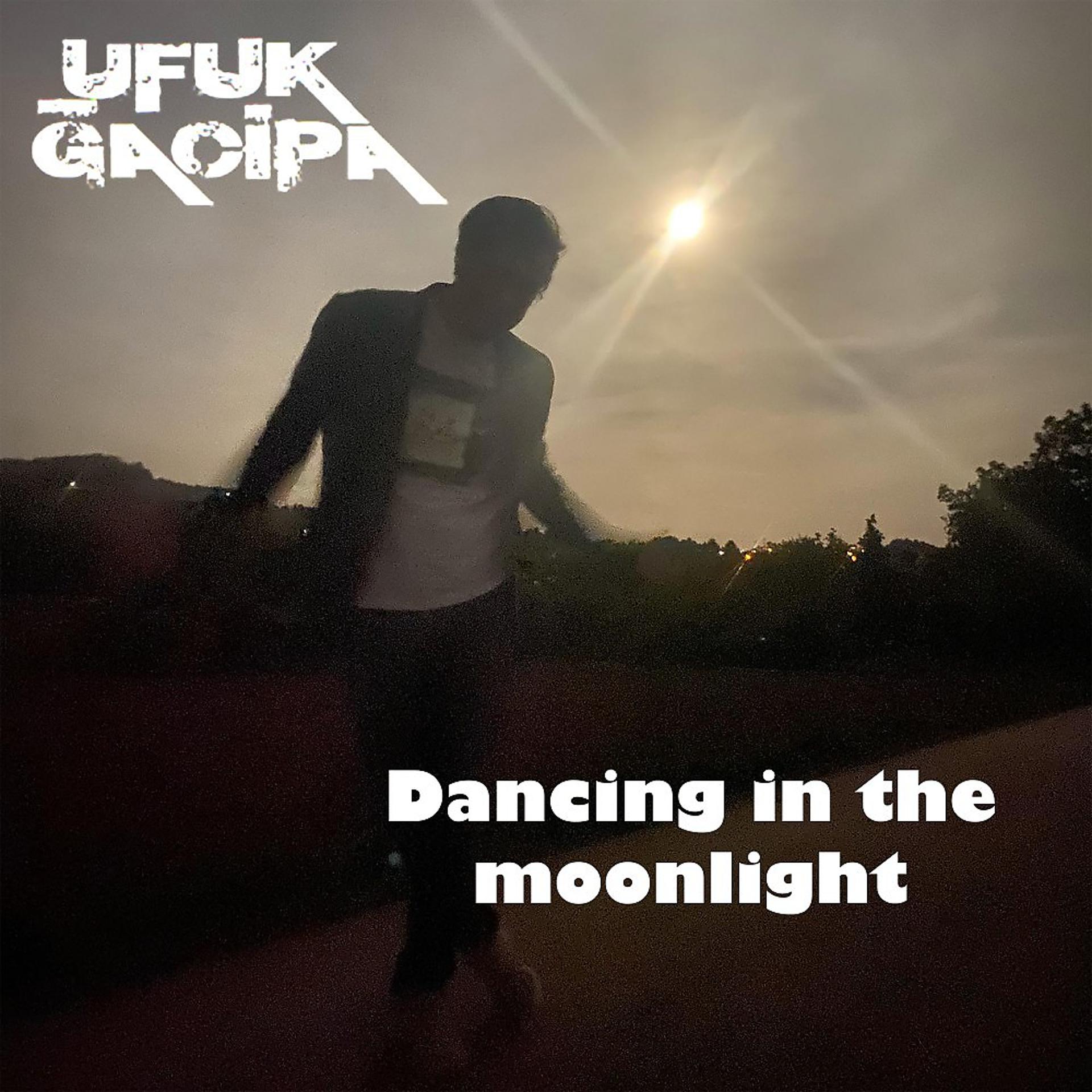 Постер альбома Dancing in the Moonlight