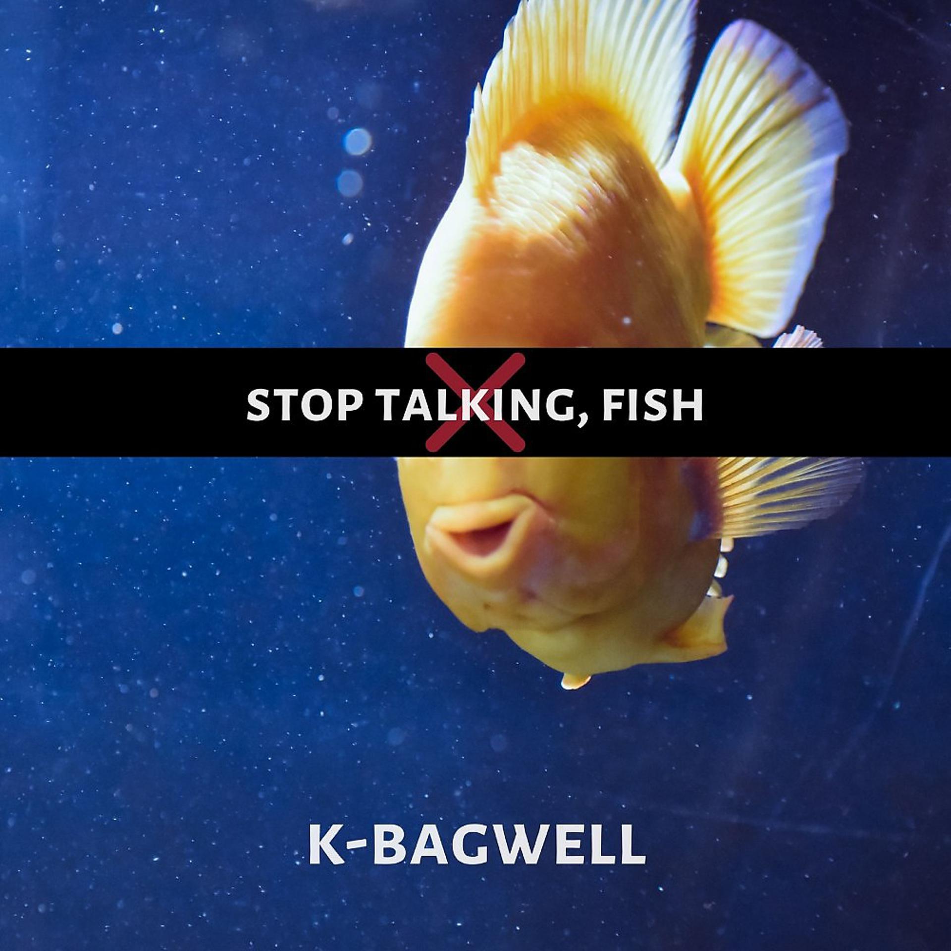 Постер альбома Stop Talking, Fish!