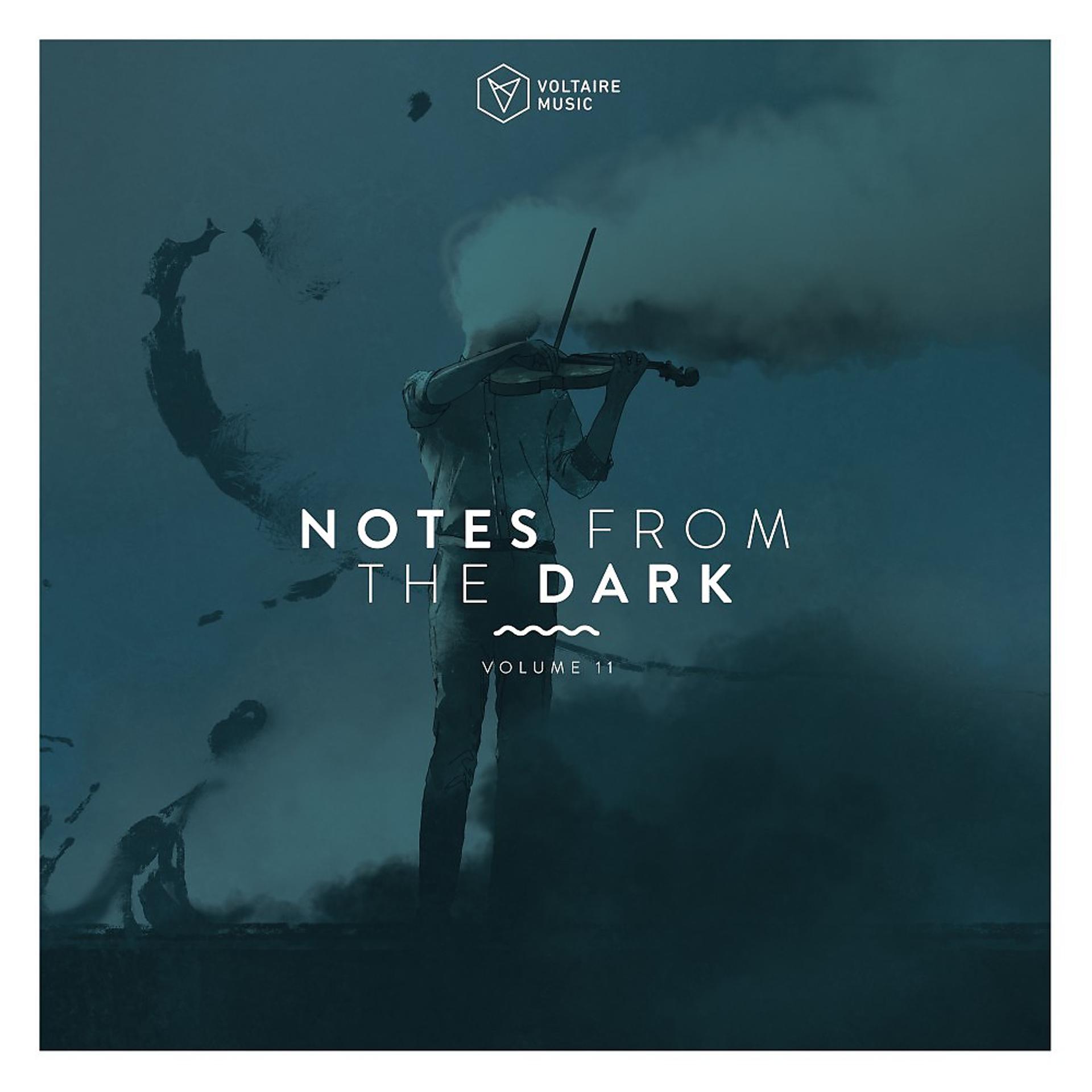 Постер альбома Notes from the Dark, Vol. 11